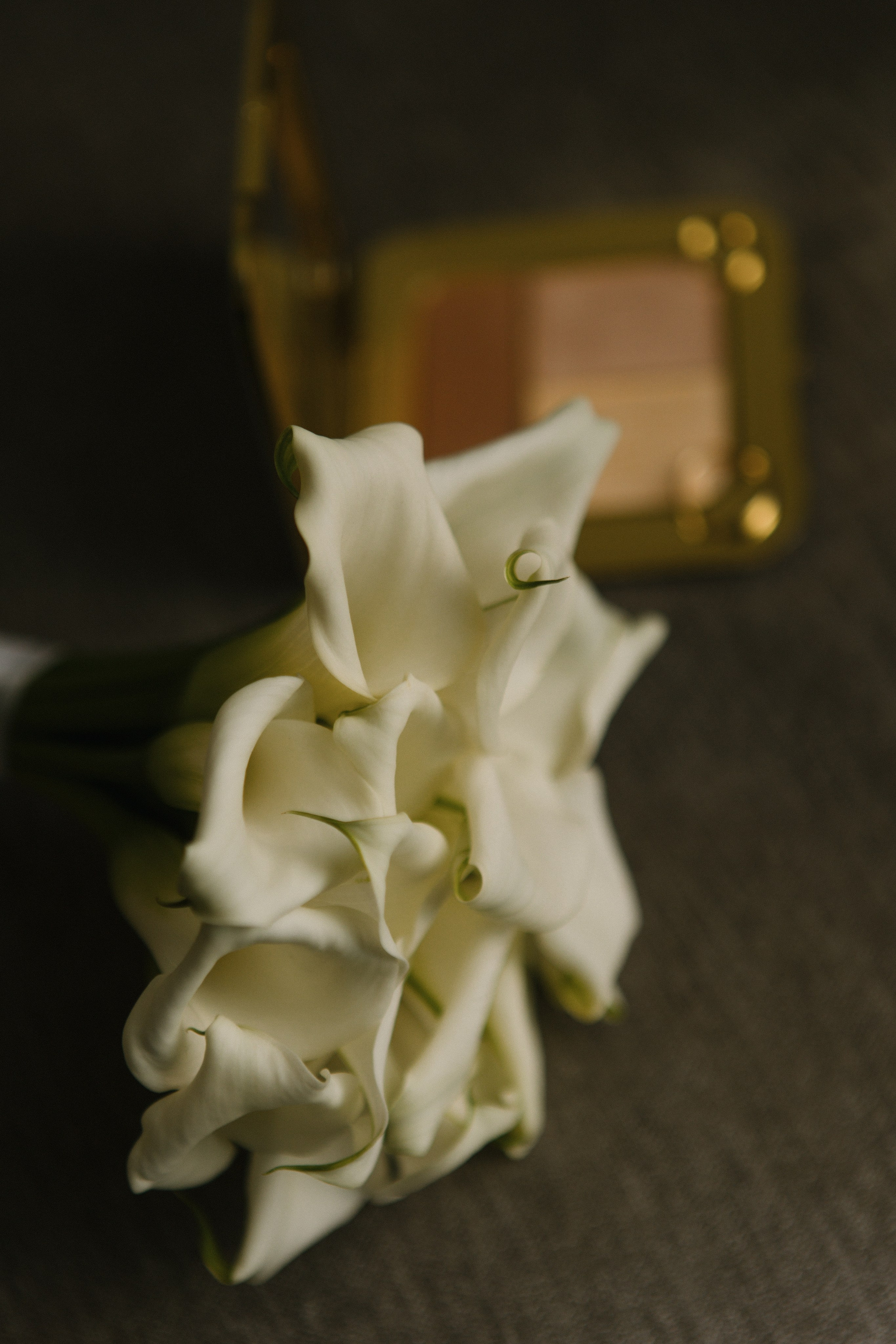 U&K. Фотограф Санкт-Петербург