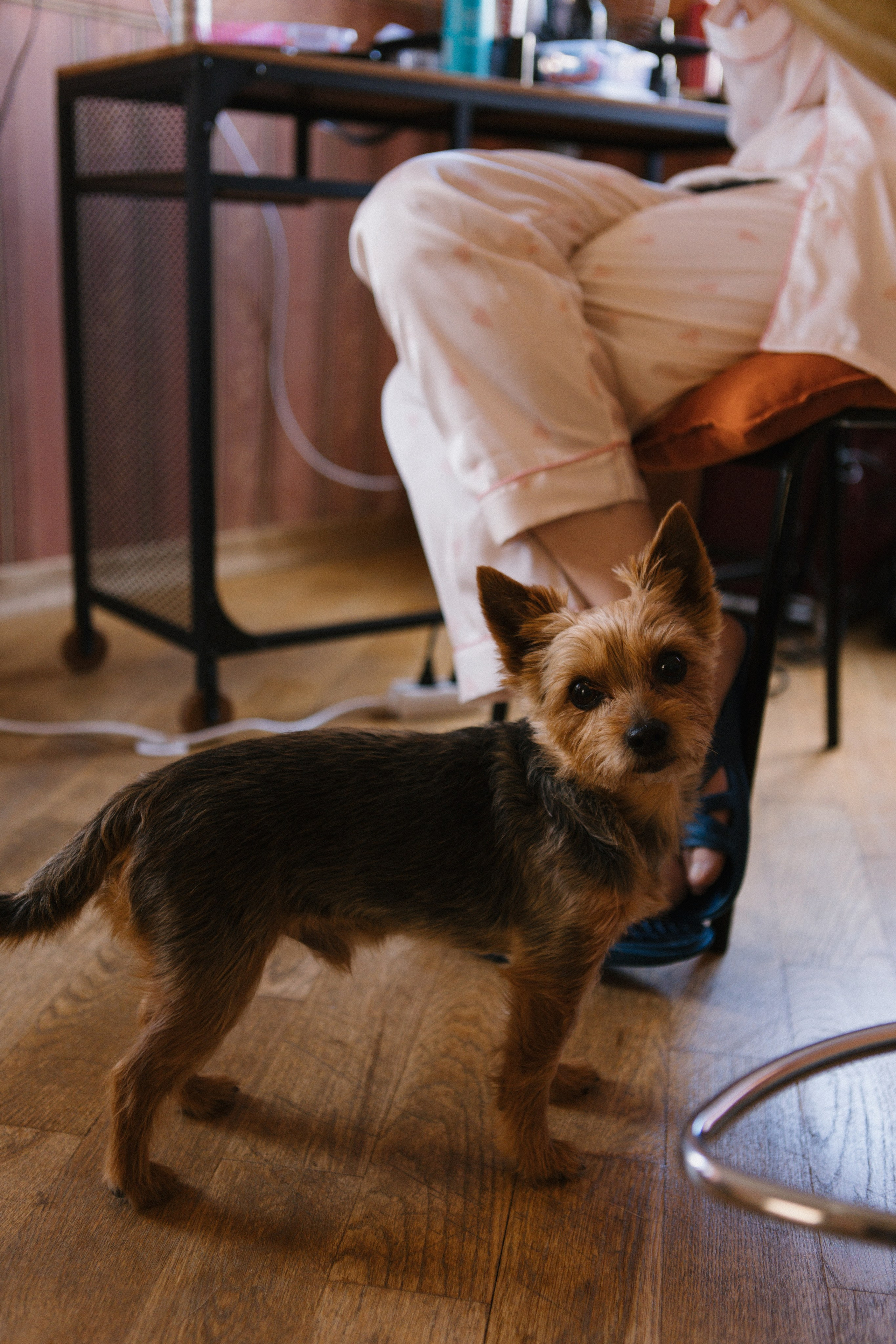 T&S. Фотограф Санкт-Петербург