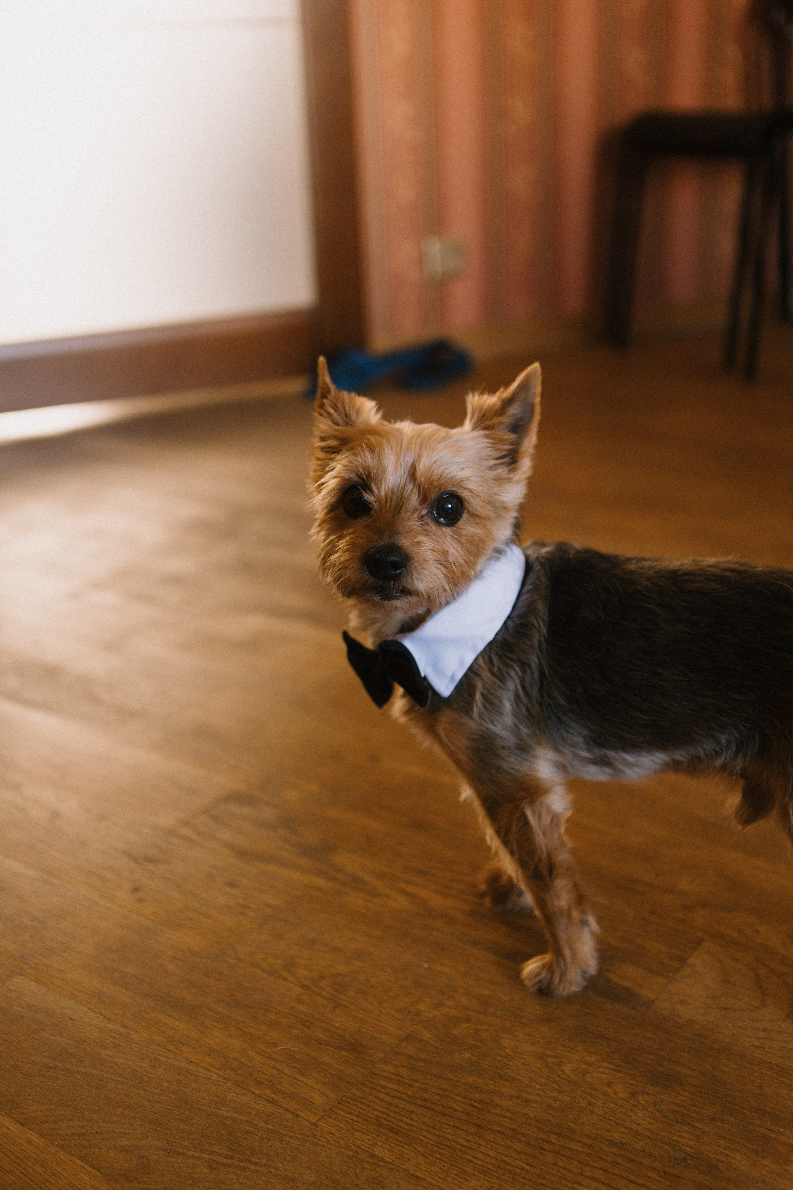 T&S. Фотограф Санкт-Петербург