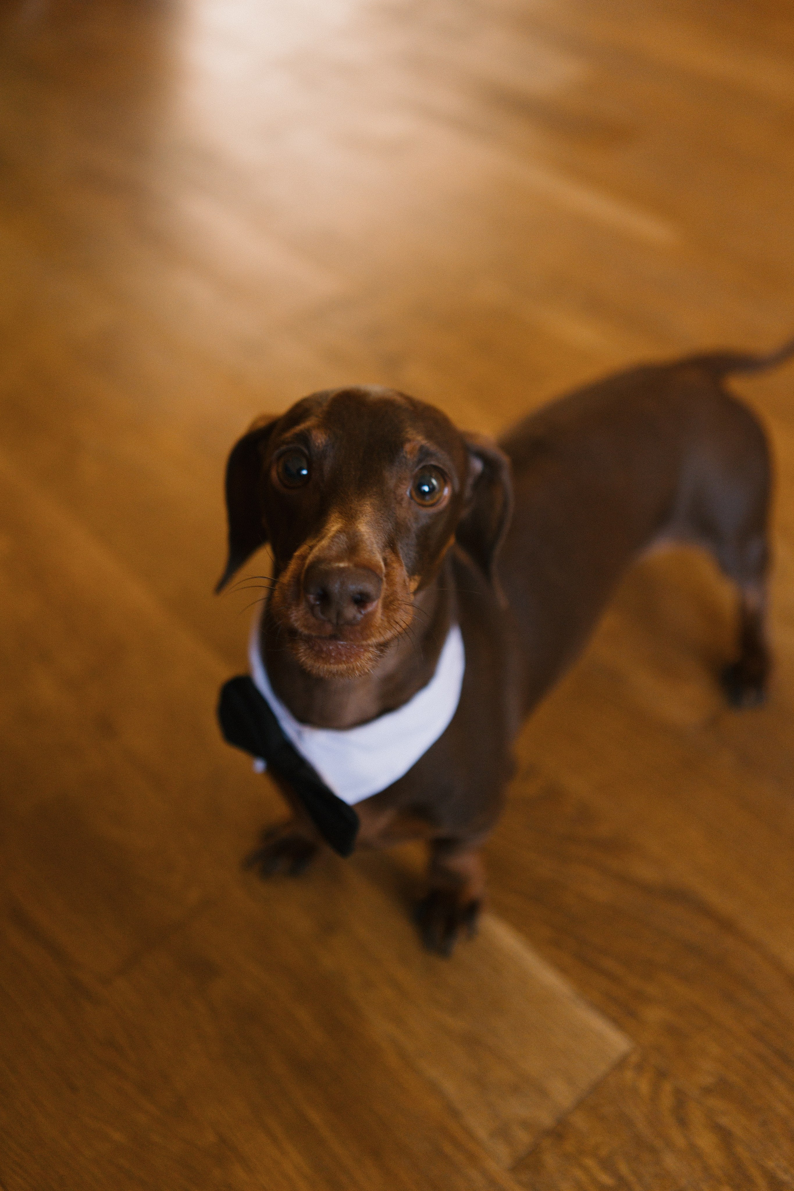 T&S. Фотограф Санкт-Петербург