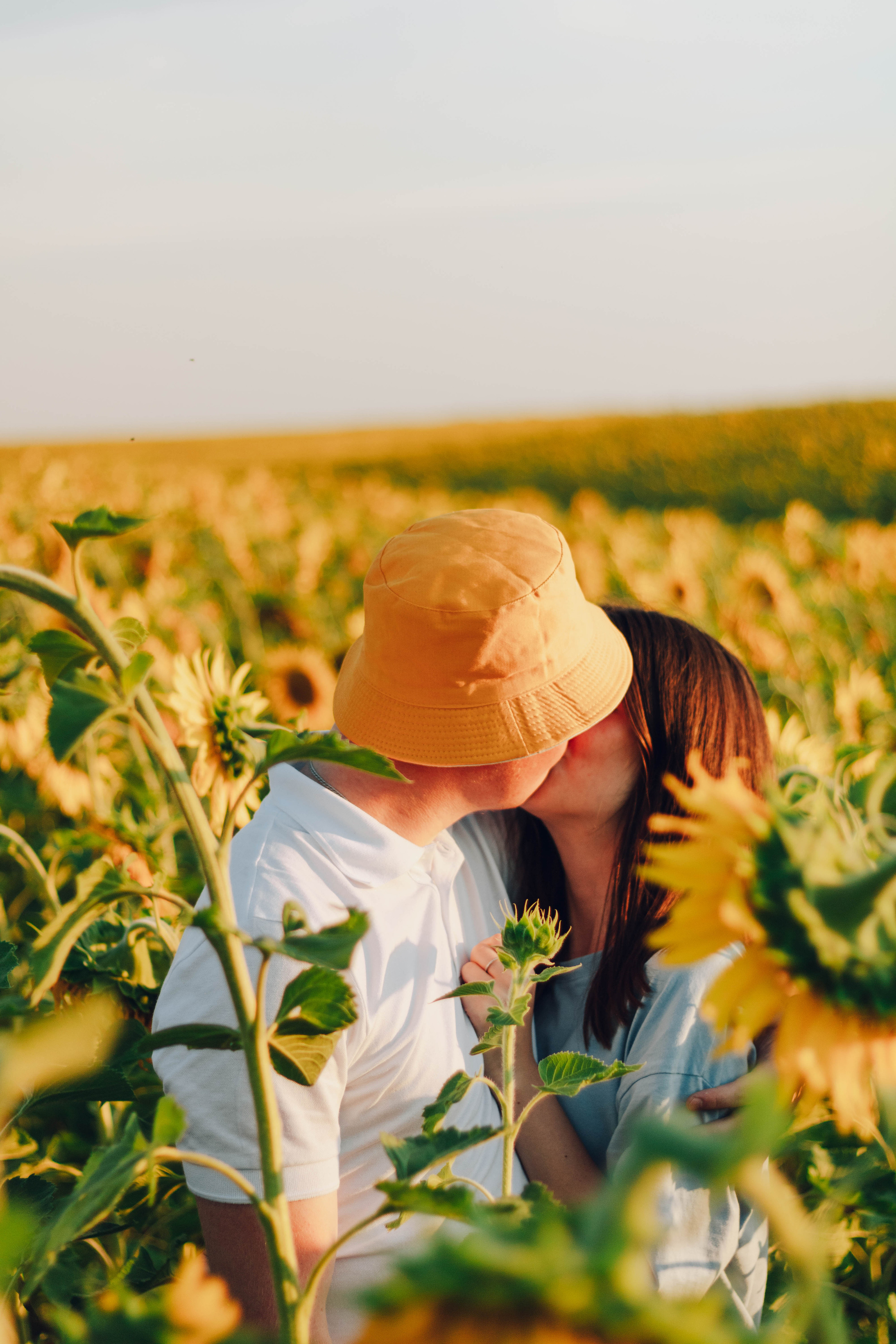 Типичные подсолнухи