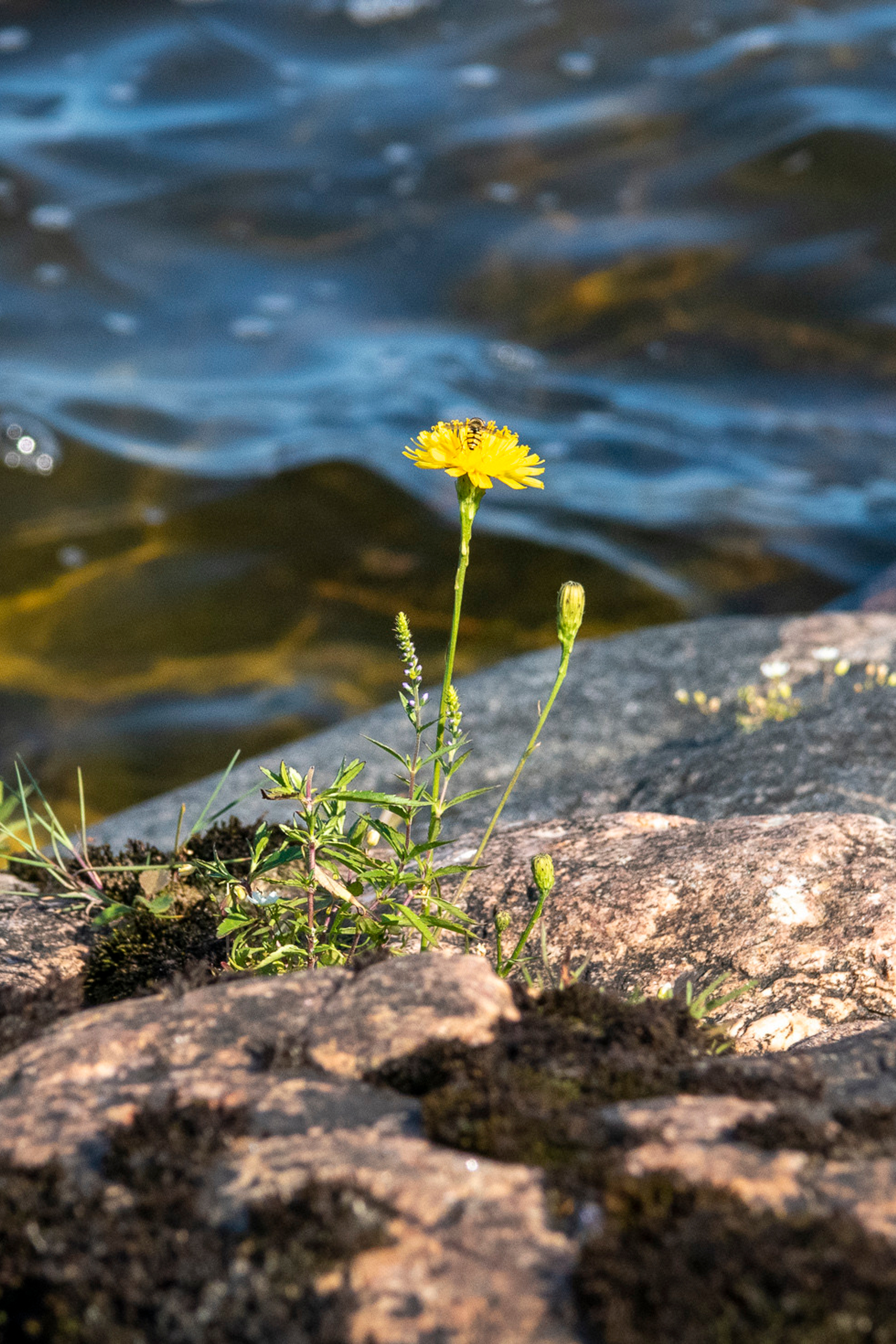 По&nbsp;Ладоге