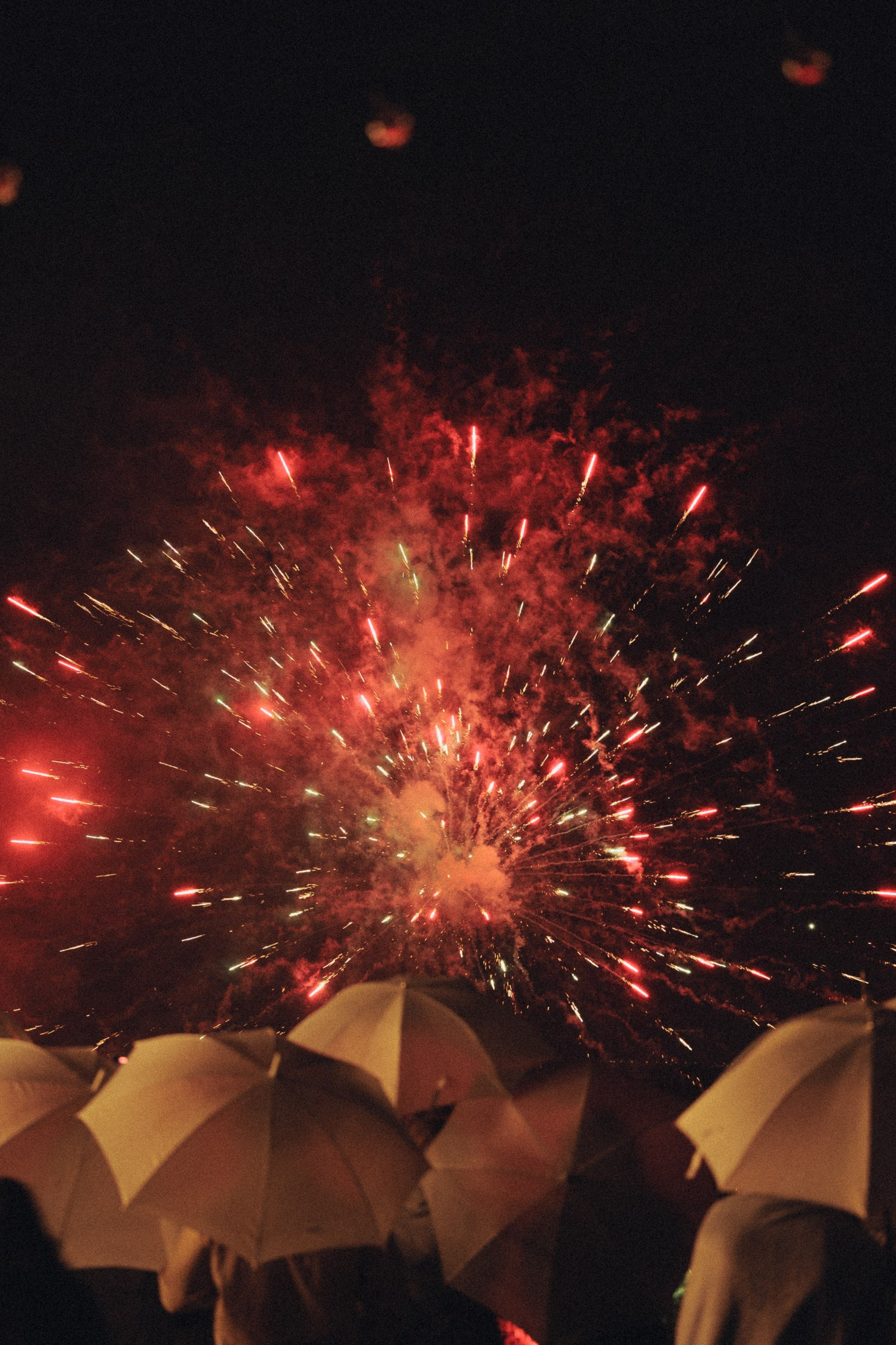 Ростислав и Виктория. Свадебный фотограф в Рязани и Москве Егоркин Стас