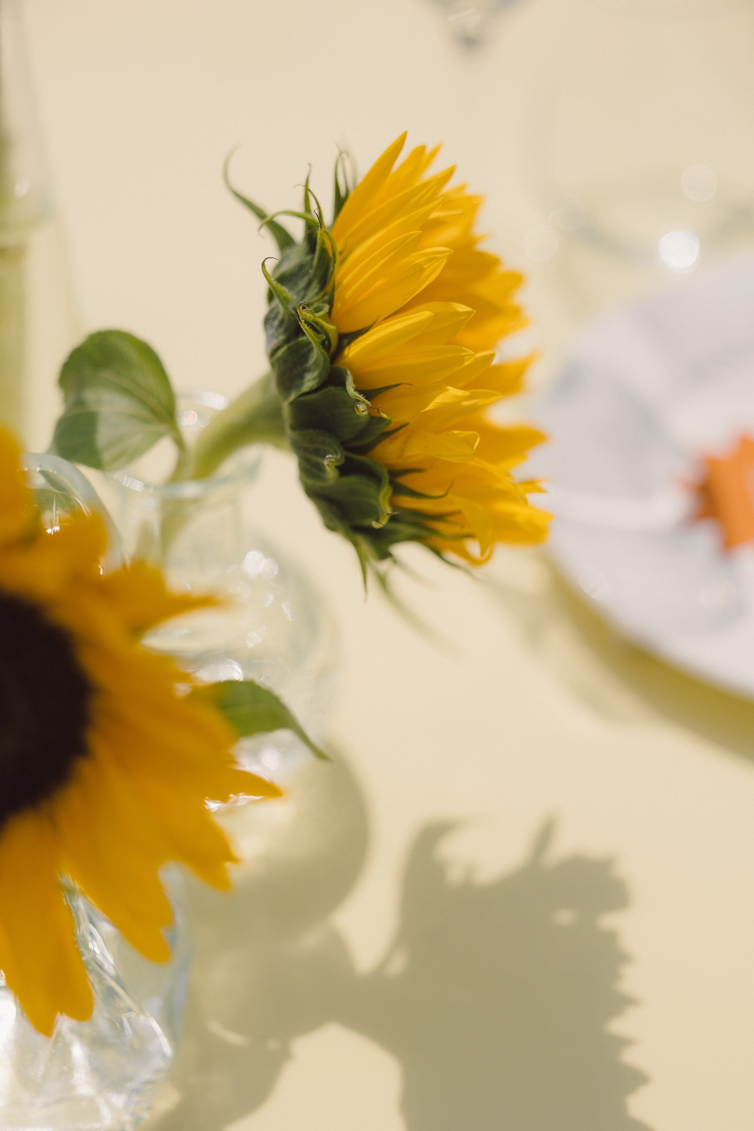 Денис и Полина. Свадебный фотограф в Рязани и Москве Егоркин Стас