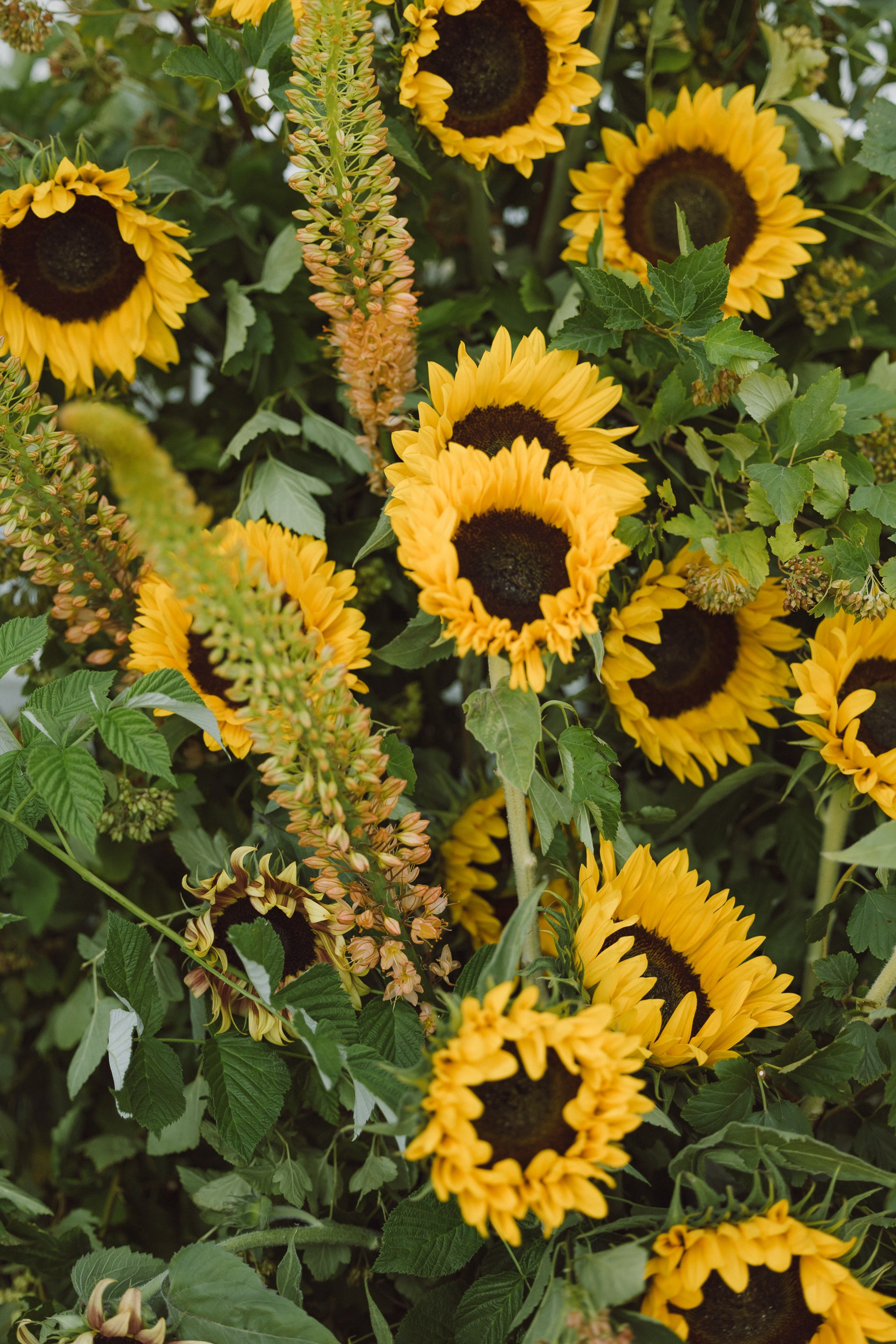 Денис и Полина. Свадебный фотограф в Рязани и Москве Егоркин Стас
