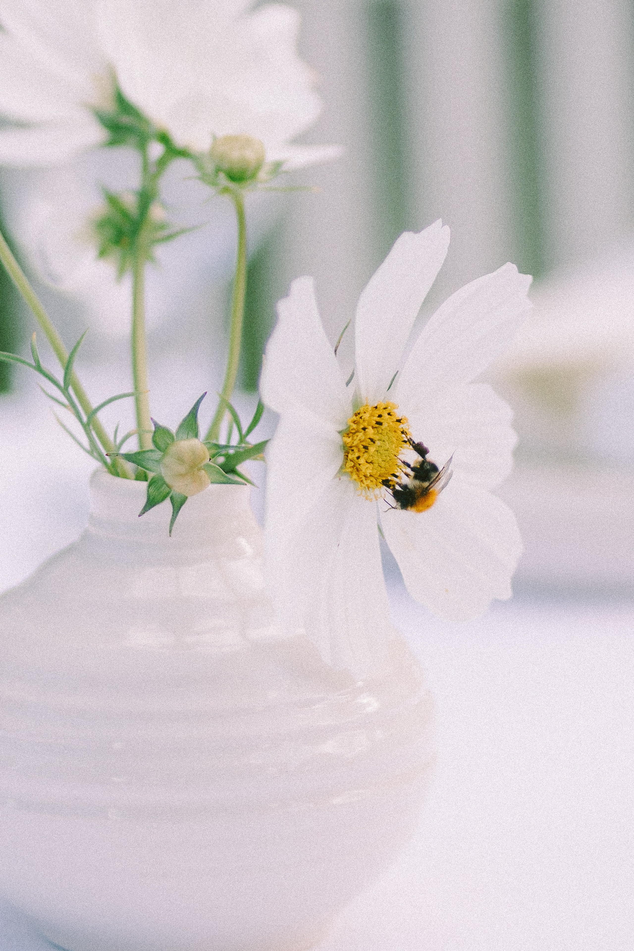 Никита и Юля. Свадебный фотограф в Рязани и Москве Егоркин Стас