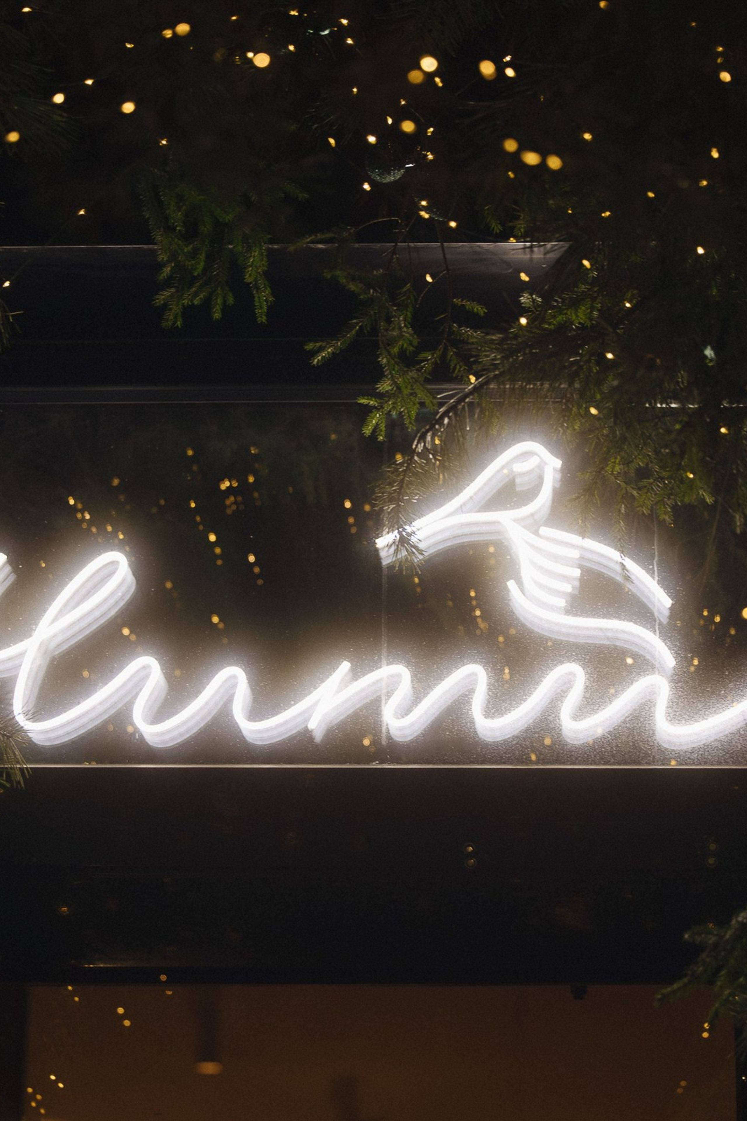 Открытие ресторана ЧИТИ. Свадебный фотограф в Рязани и Москве Егоркин Стас