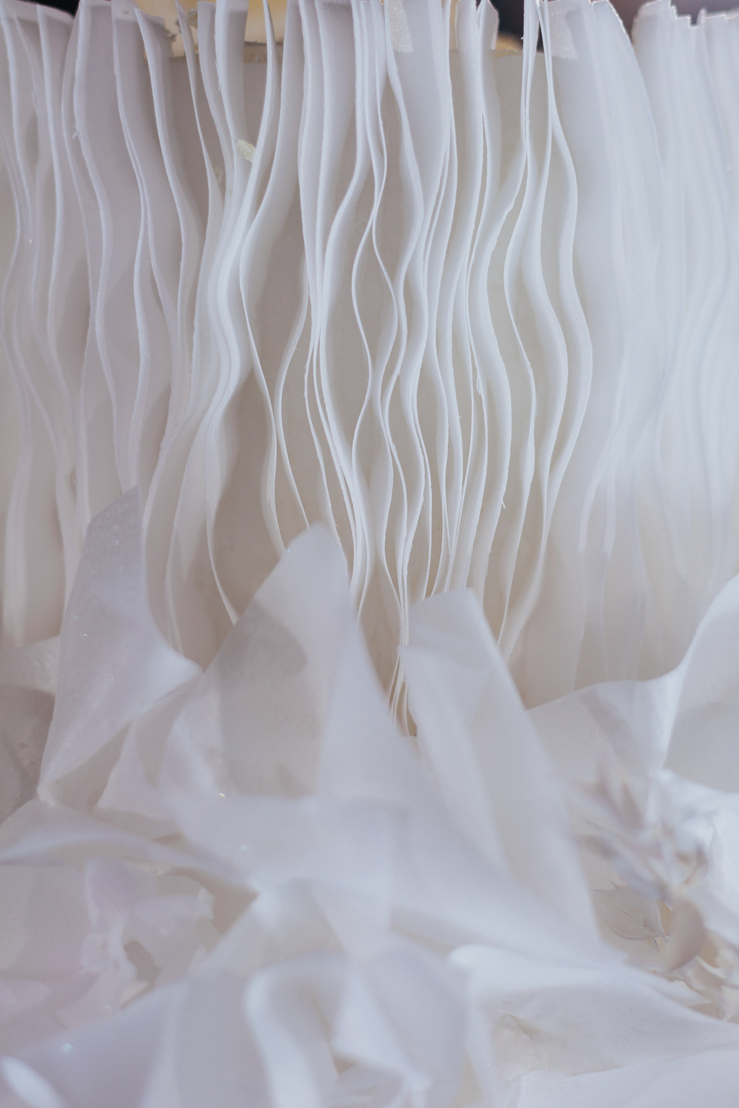 Илья и Настя. Свадебный фотограф в Рязани и Москве Егоркин Стас