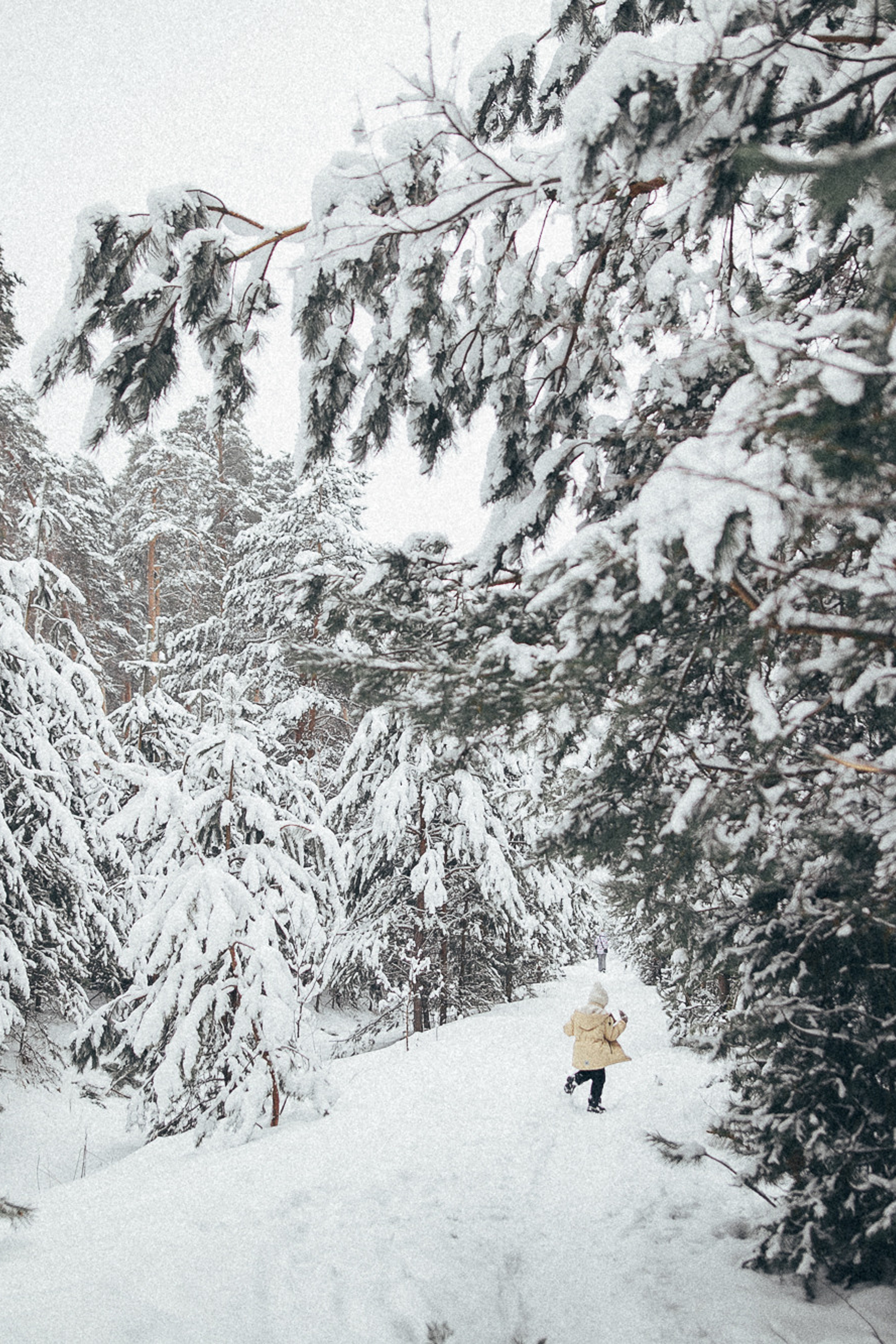 Руслан, Света и Матвей. Свадебный фотограф в Рязани и Москве Егоркин Стас