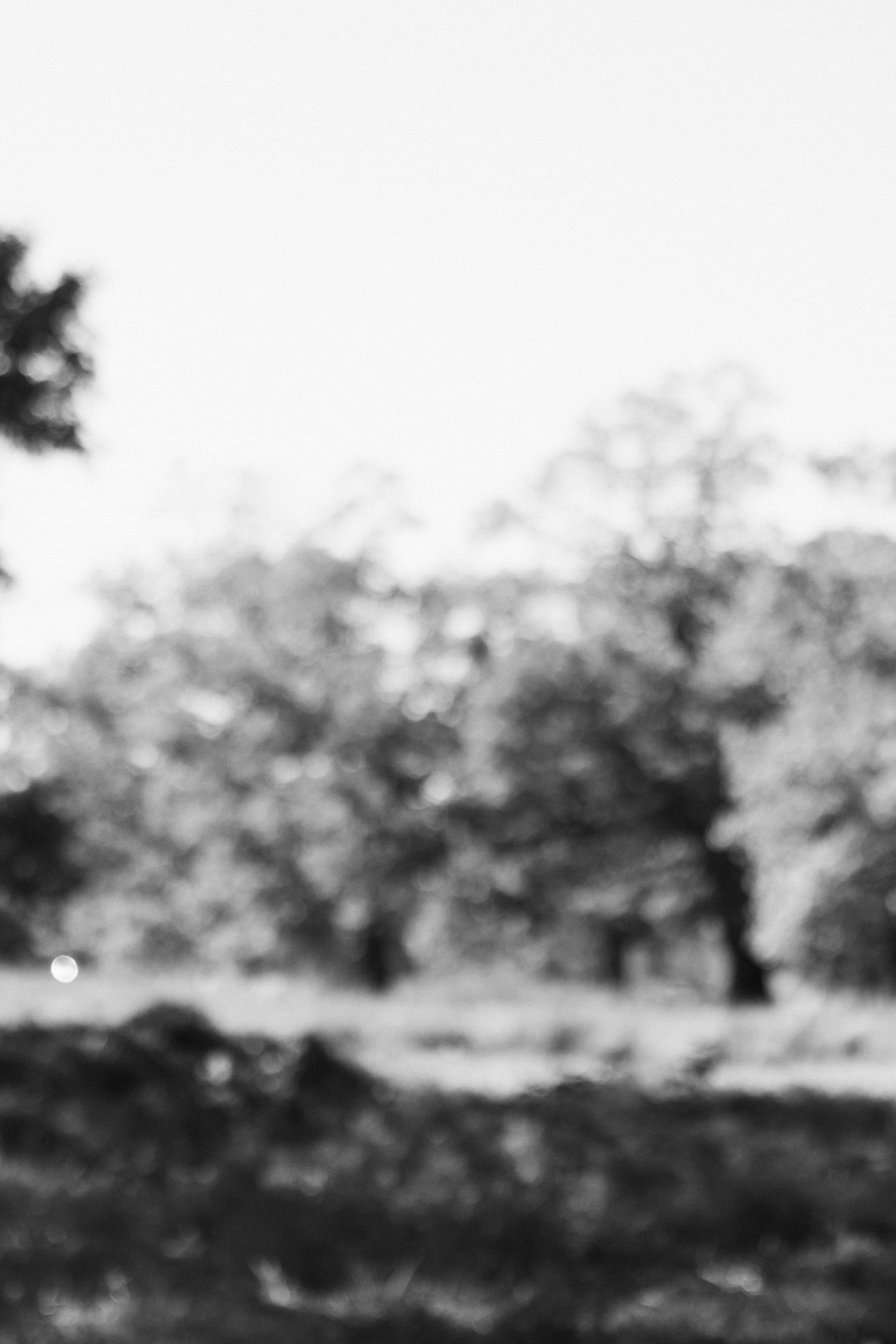 Андрей и Юля. Свадебный фотограф в Рязани и Москве Егоркин Стас