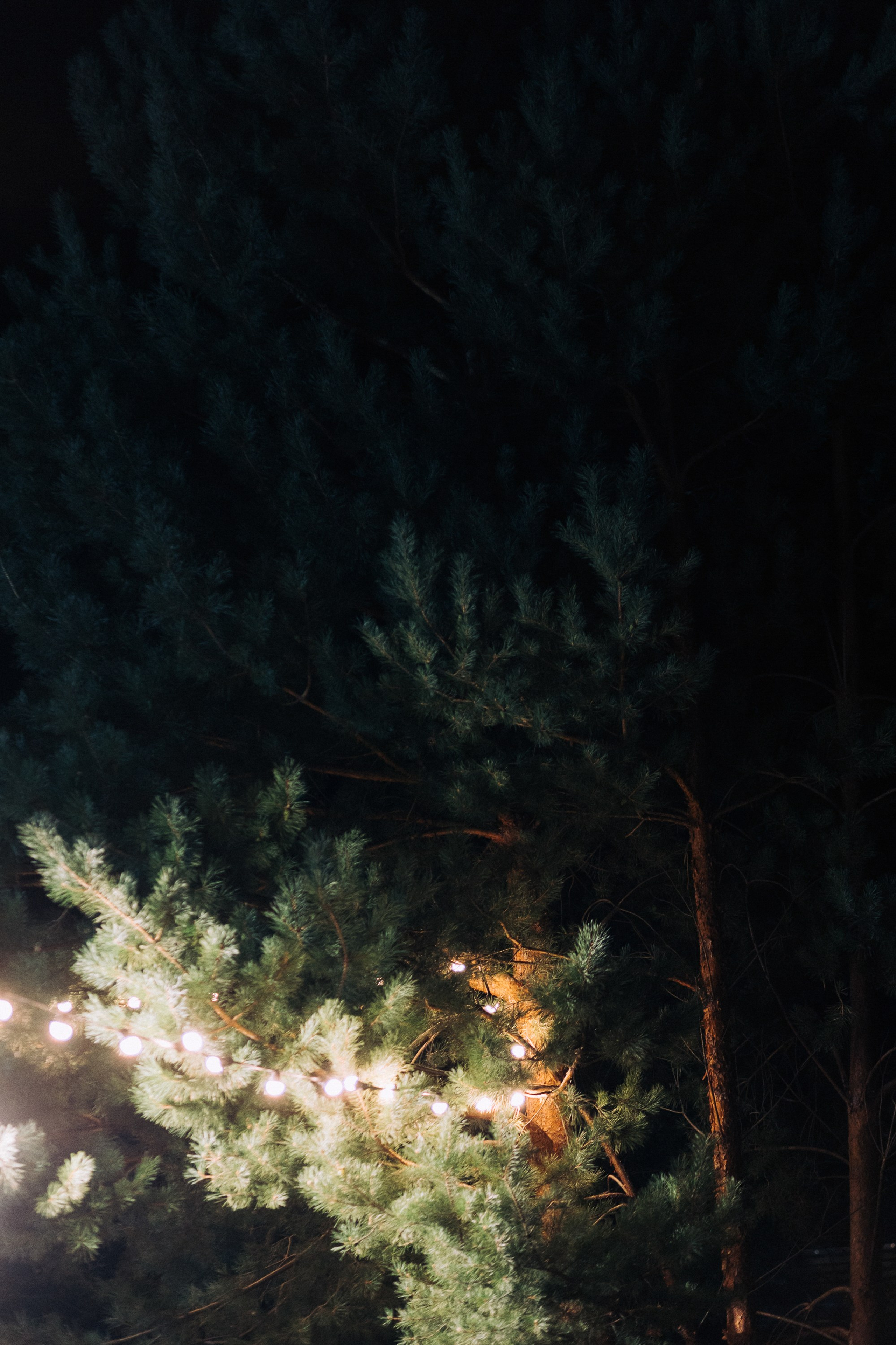 Сережа и Катя. Свадебный фотограф в Рязани и Москве Егоркин Стас