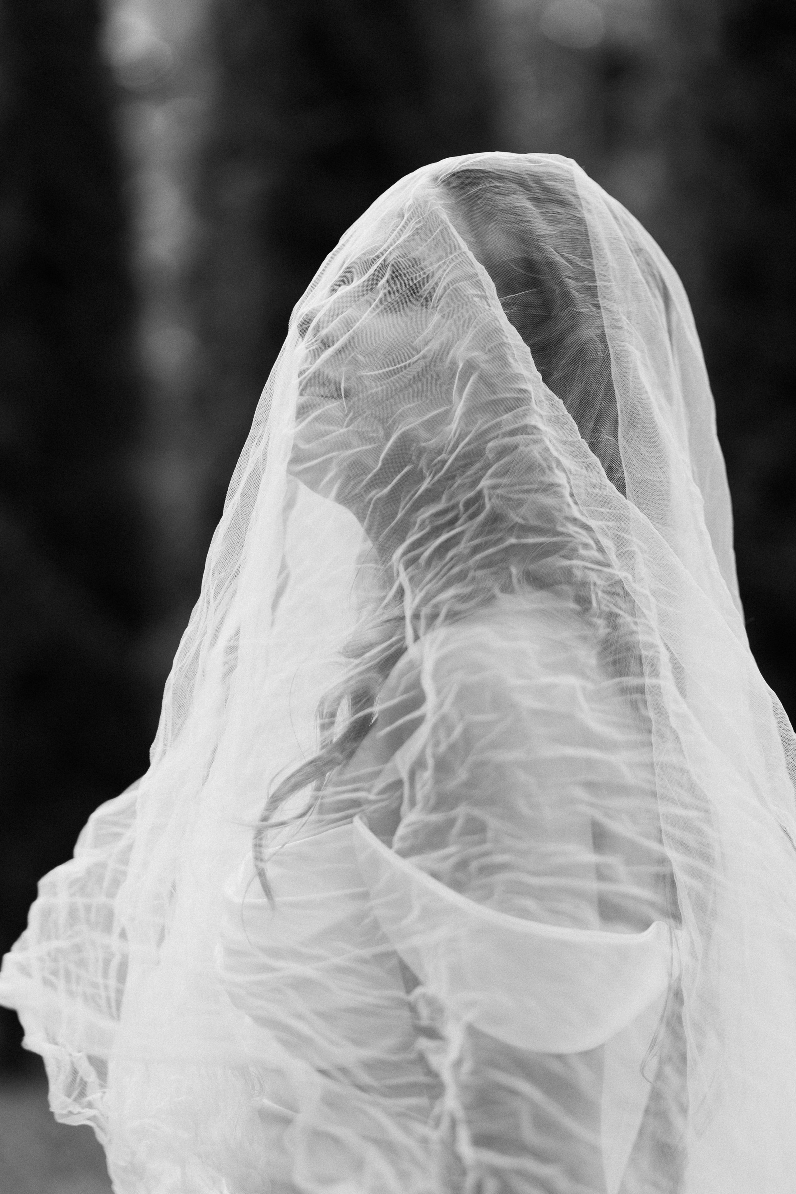 Сережа и Катя. Свадебный фотограф в Рязани и Москве Егоркин Стас