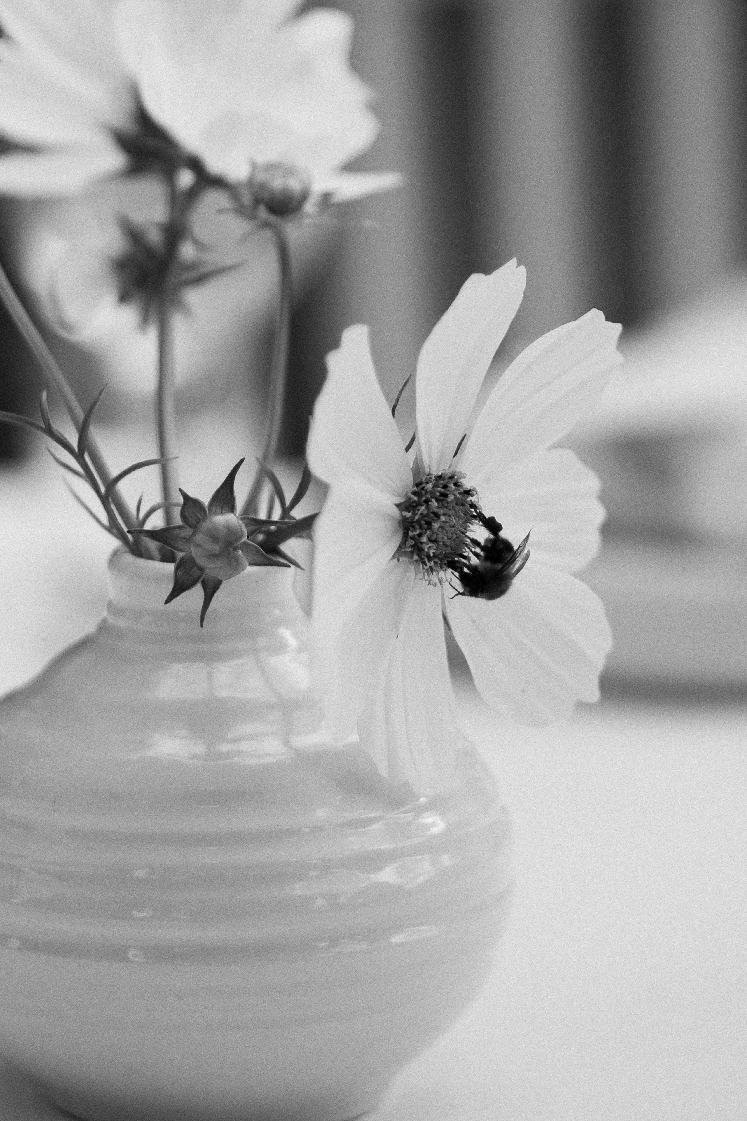 Никита и юля. Свадебный фотограф в Рязани и Москве Егоркин Стас