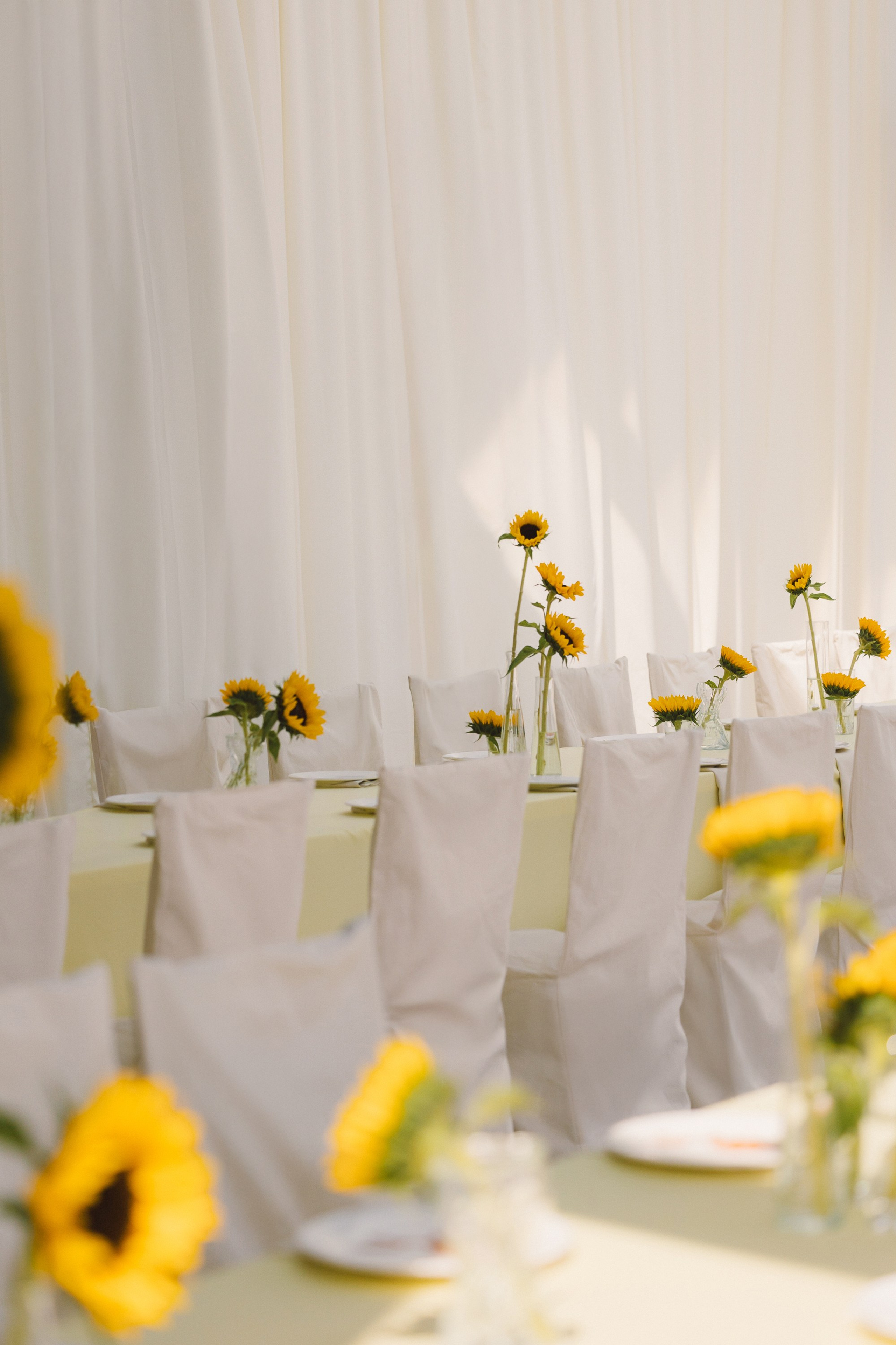 Денис и Полина. Свадебный фотограф в Рязани и Москве Егоркин Стас