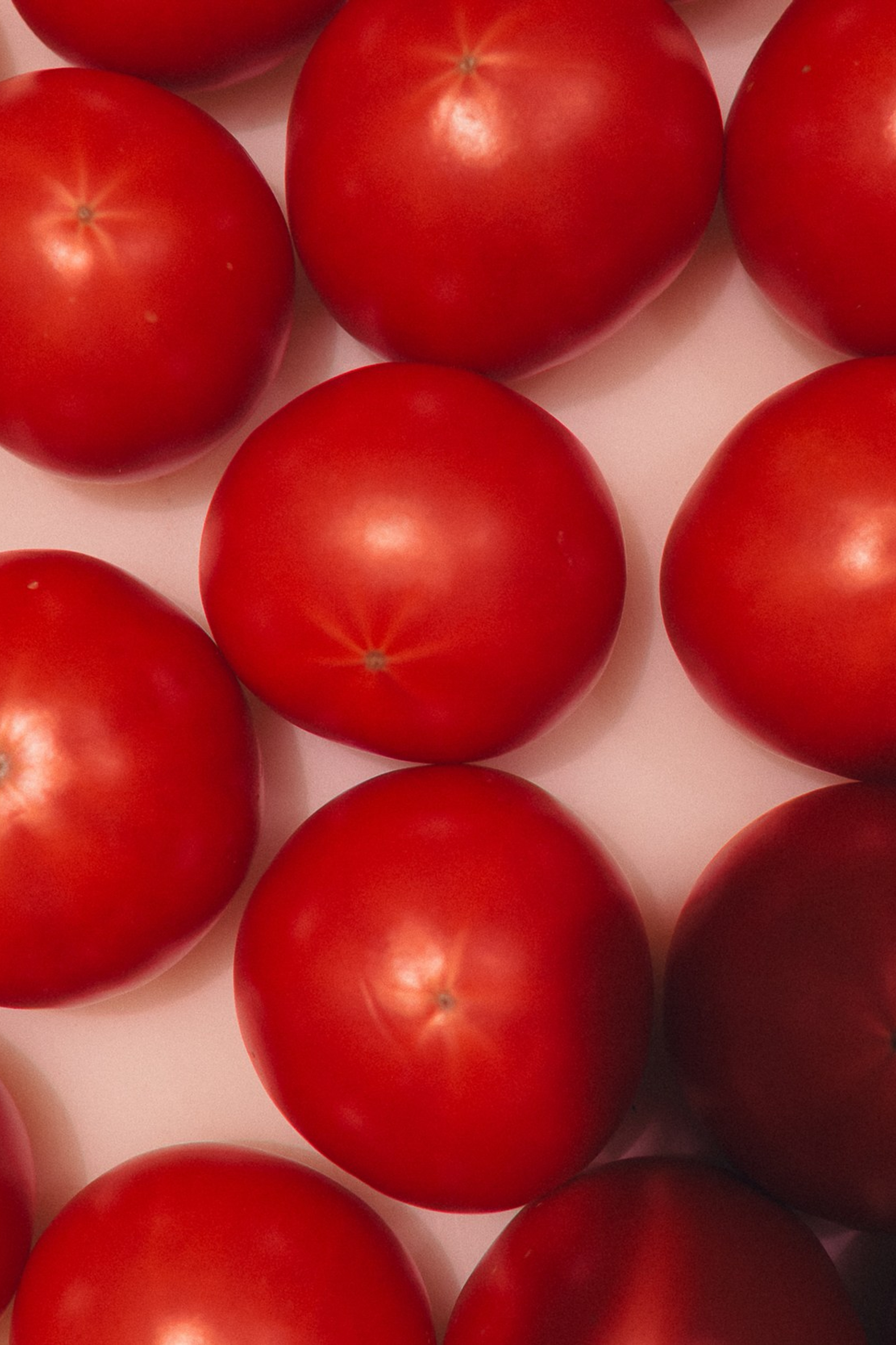 День рождения креативного агенства Арника. Свадебный фотограф в Рязани и Москве Егоркин Стас