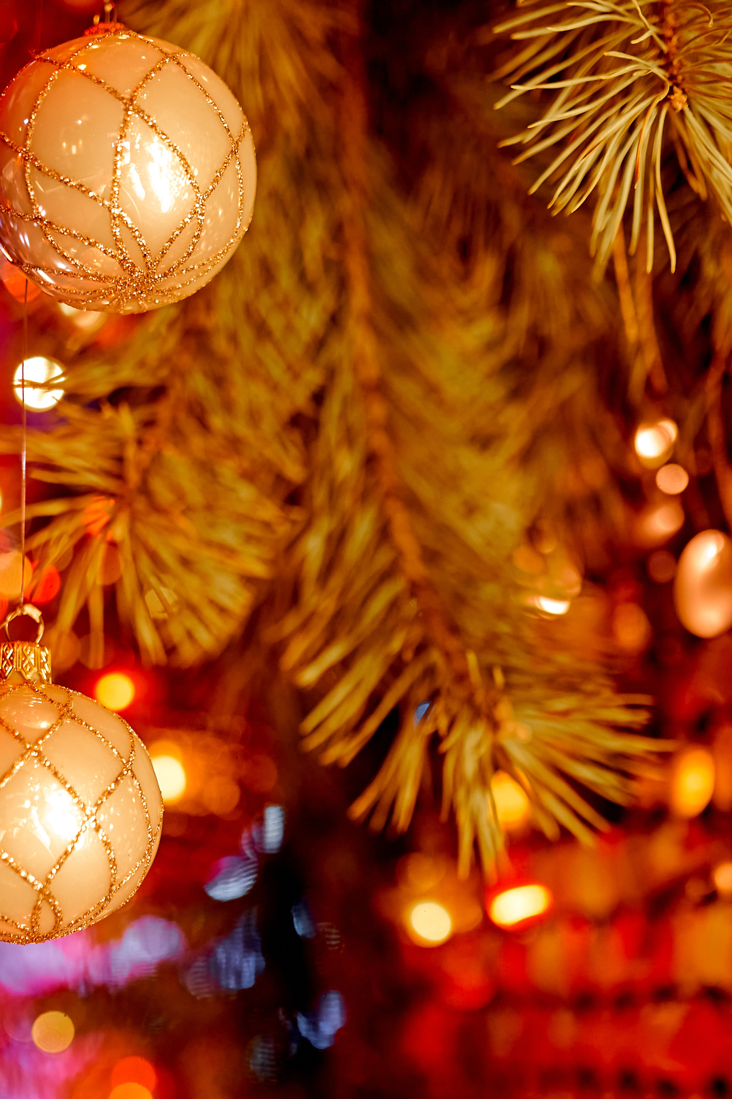 Новогодний репортаж