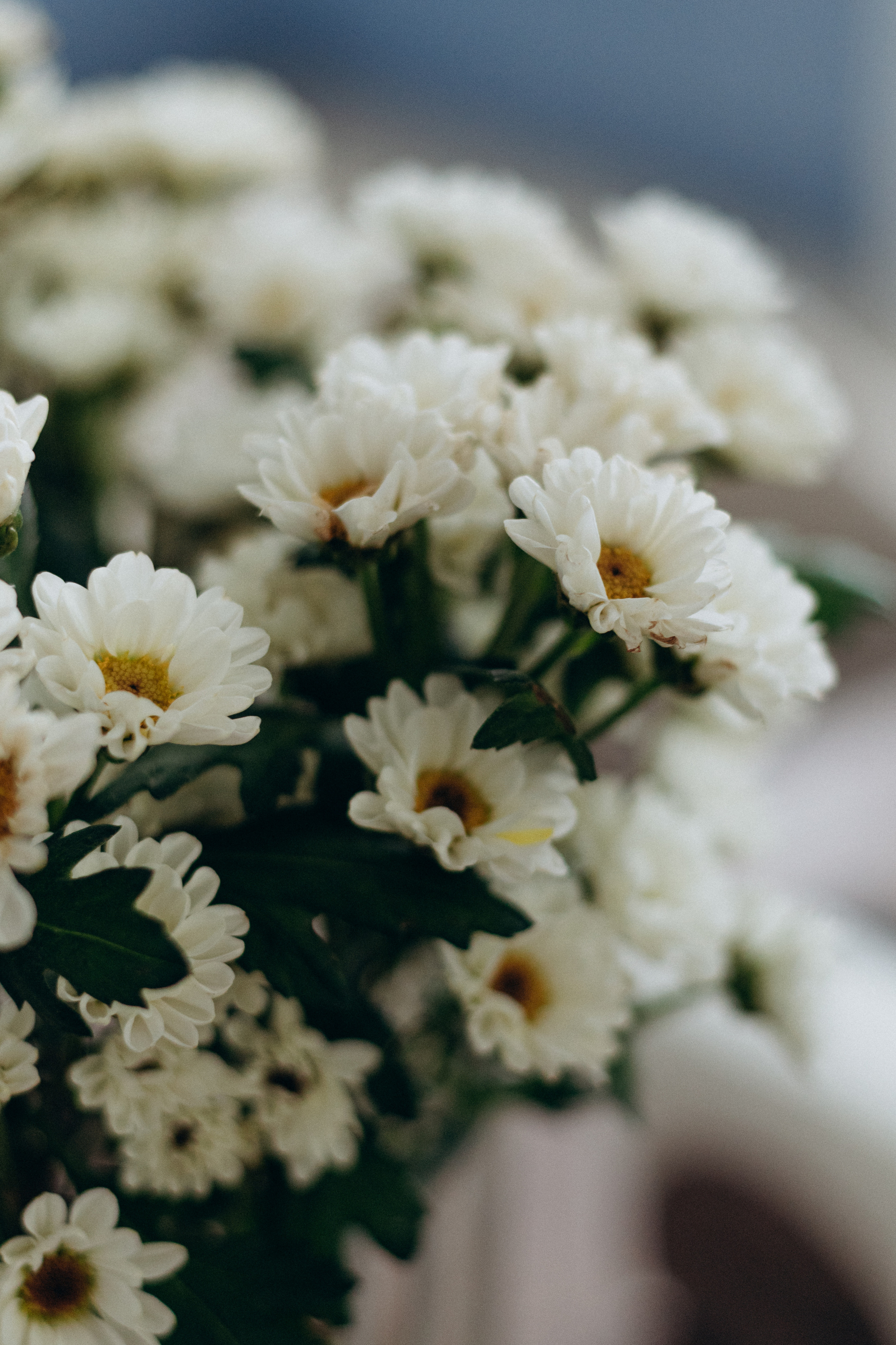 Отзывы. Семейный фотограф в г.Москве Катя Норм