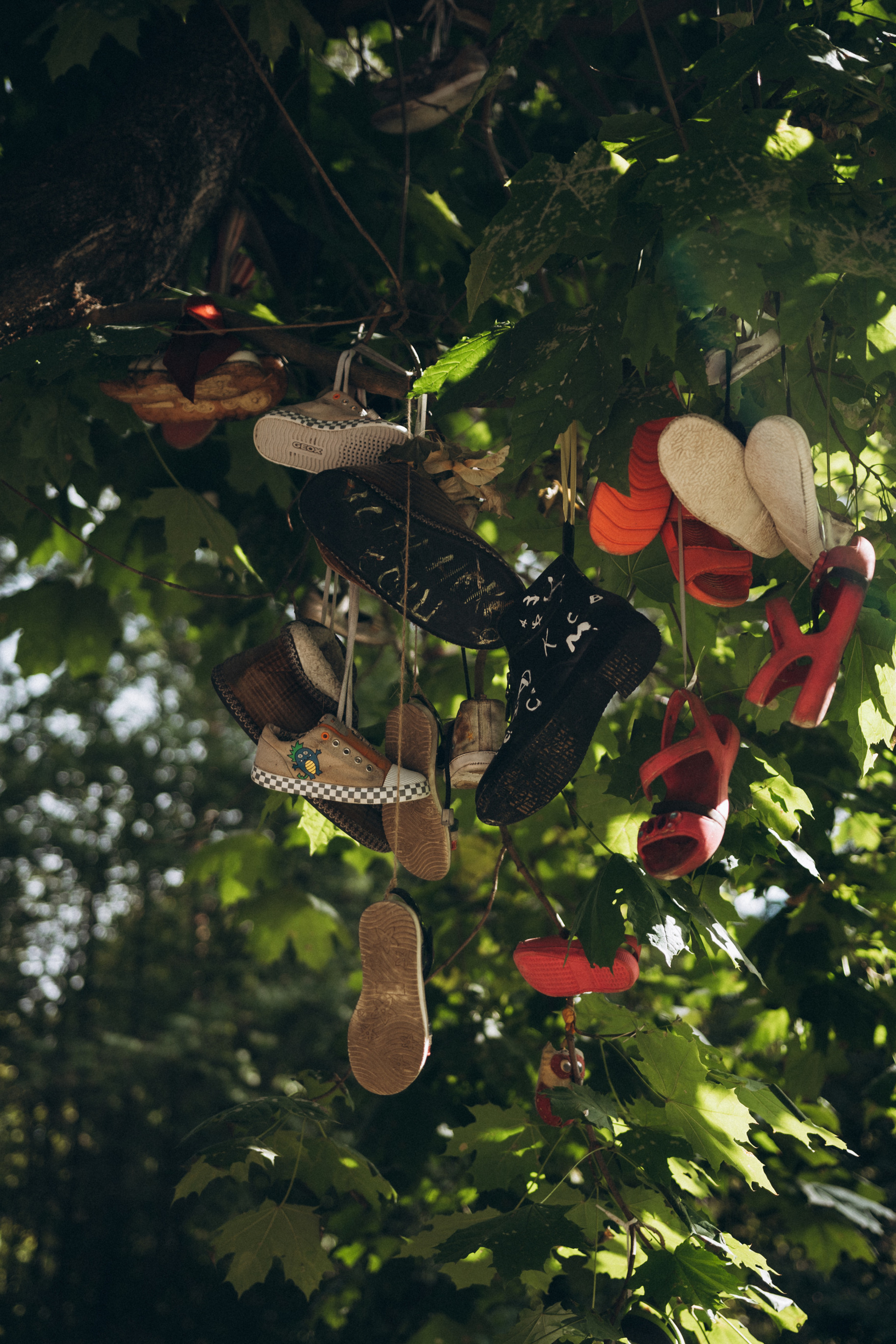 Отзывы. Семейный фотограф в г.Москве Катя Норм