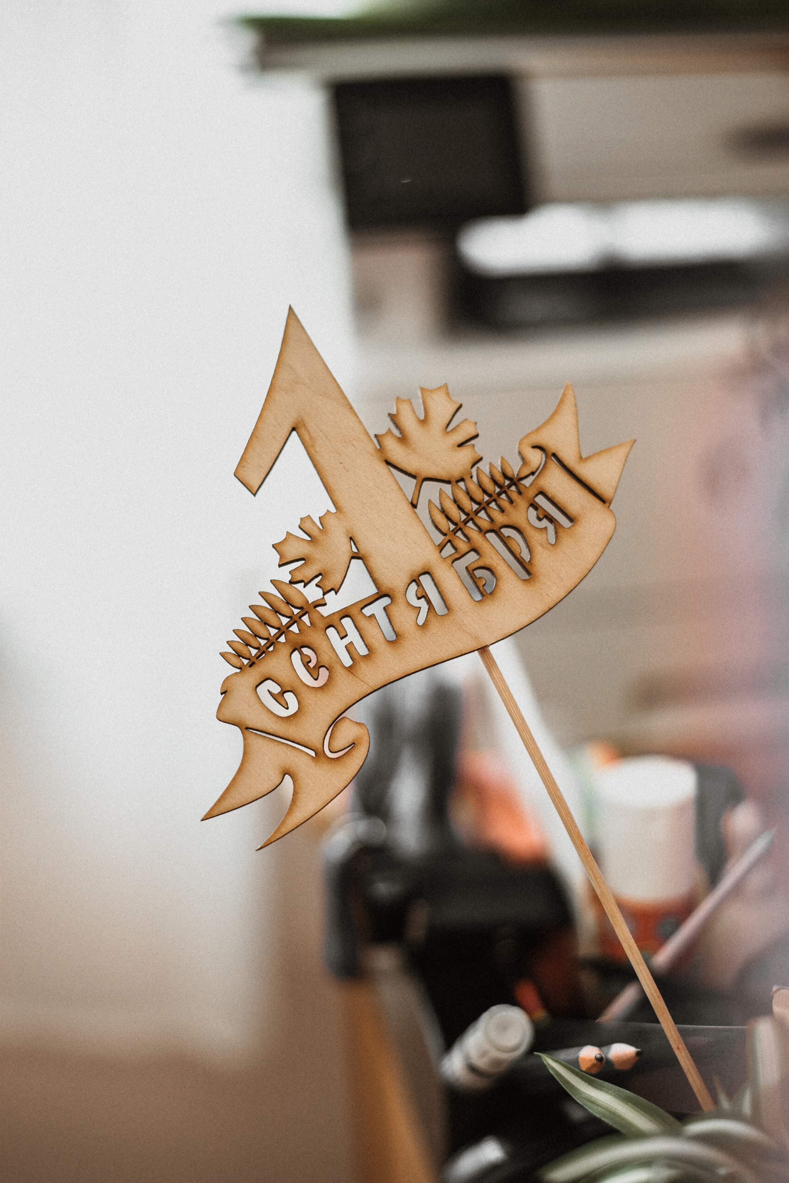 Отзывы. Семейный фотограф в г.Москве Катя Норм