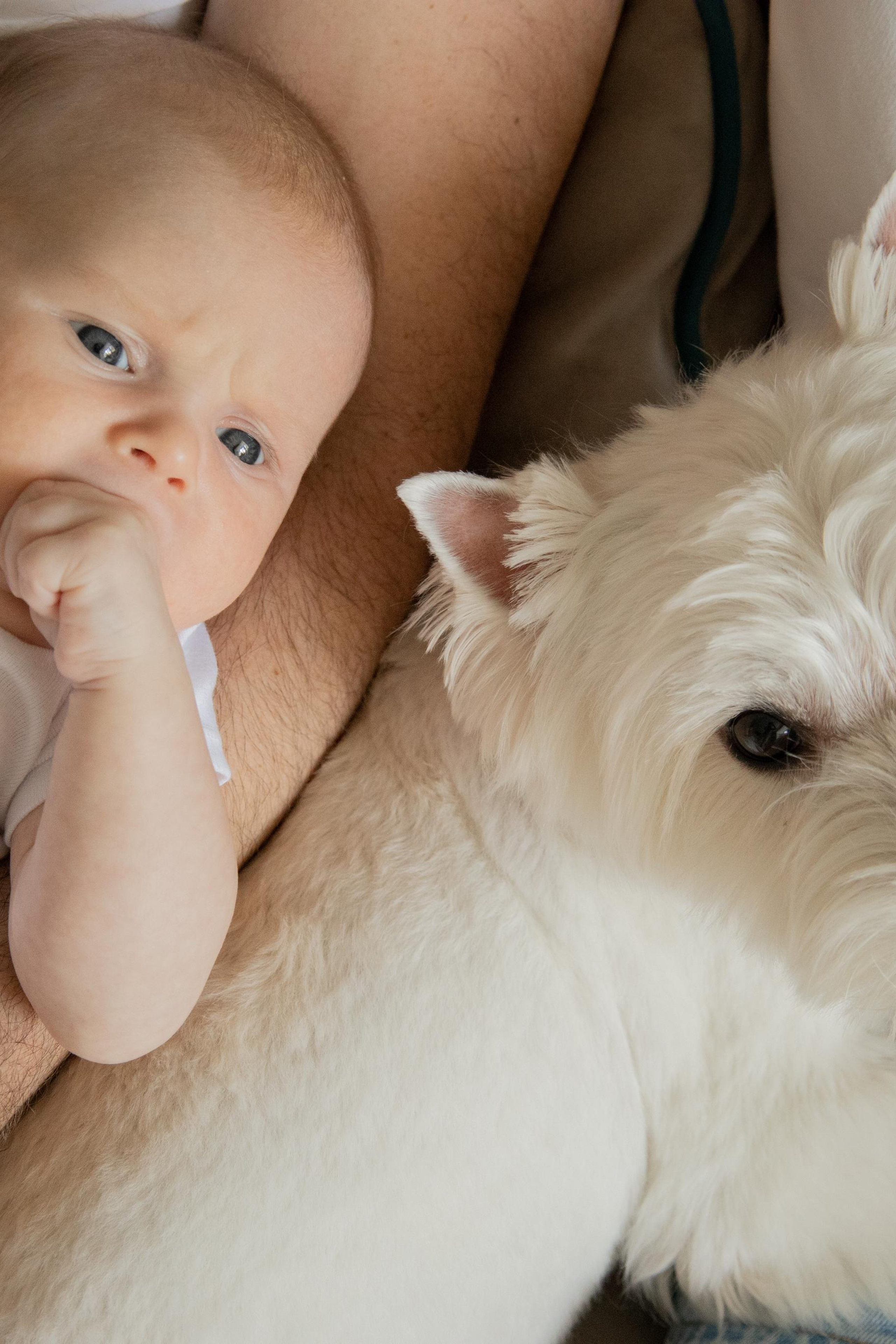 Даниил. Смиричевская Екатерина — фотограф новорожденных