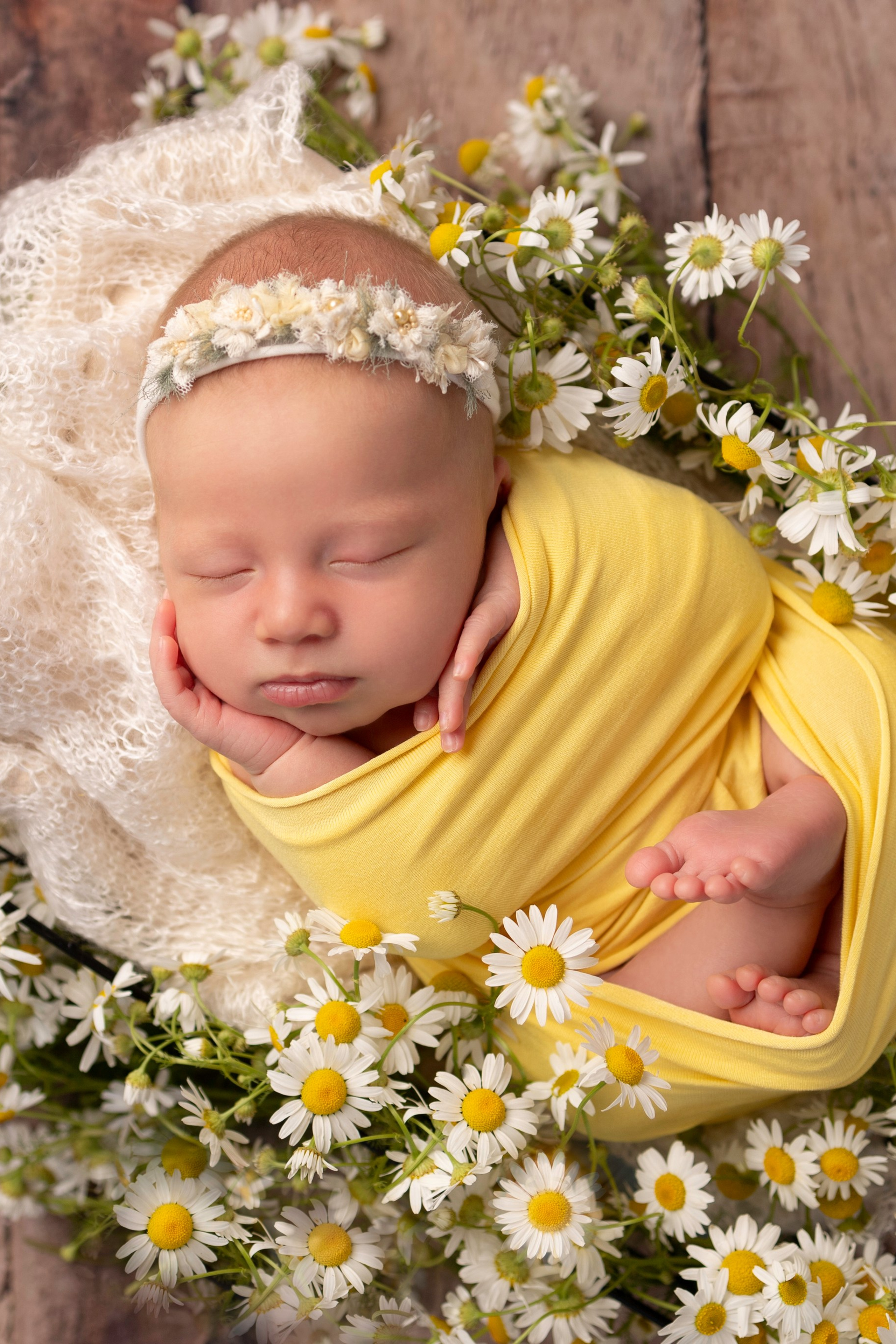 Классика. Смиричевская Екатерина — фотограф новорожденных