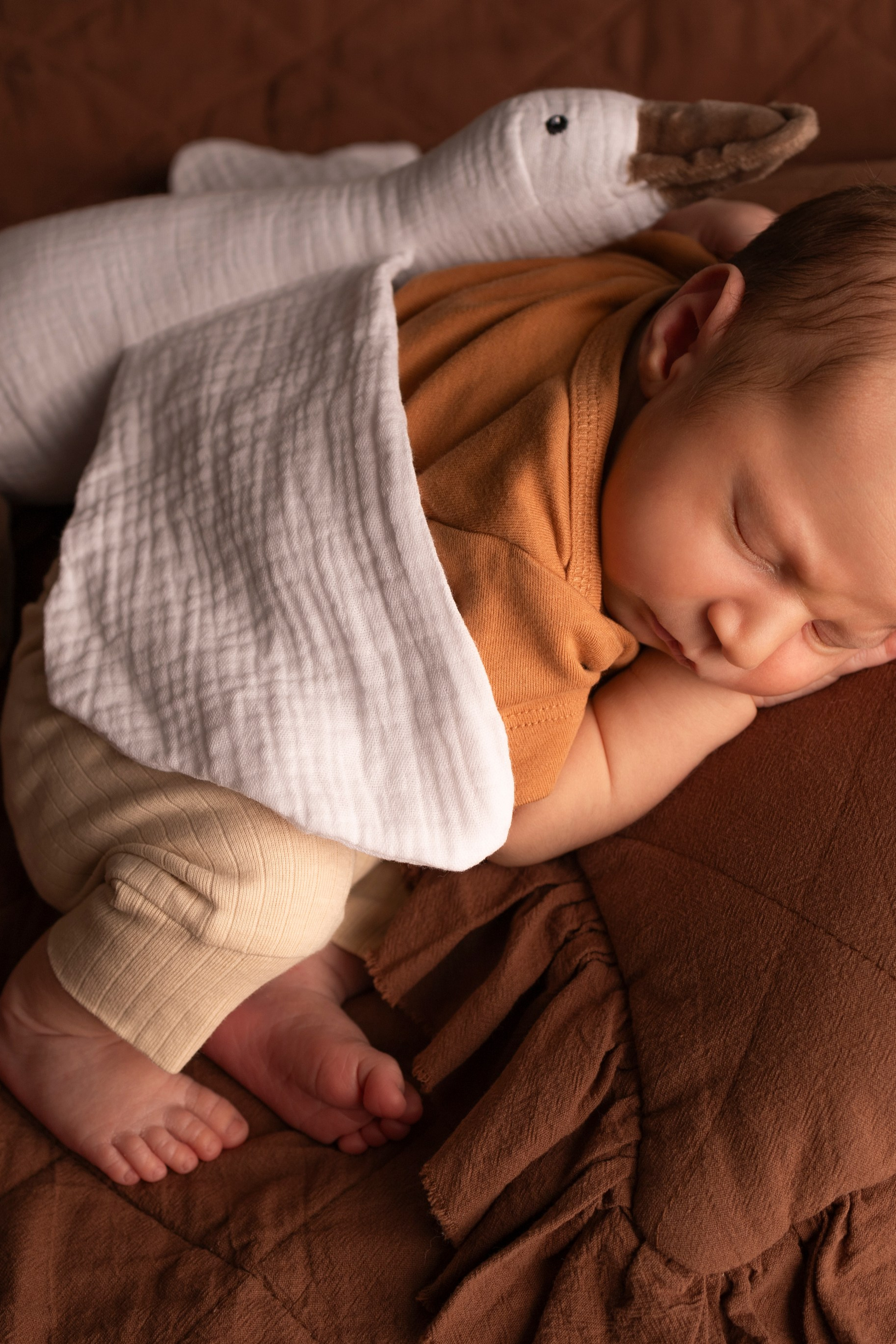 Савелий. Смиричевская Екатерина — фотограф новорожденных