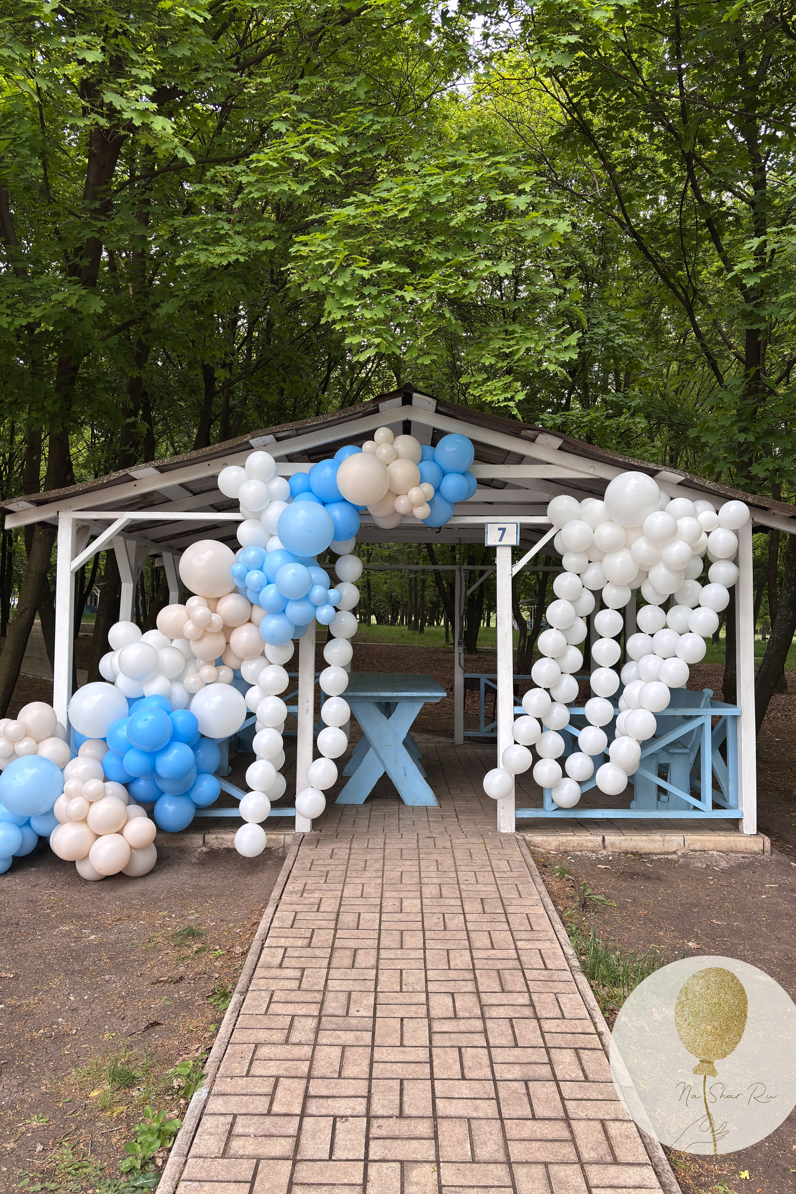 Входная группа. Воздушные шары с гелием в Донецке