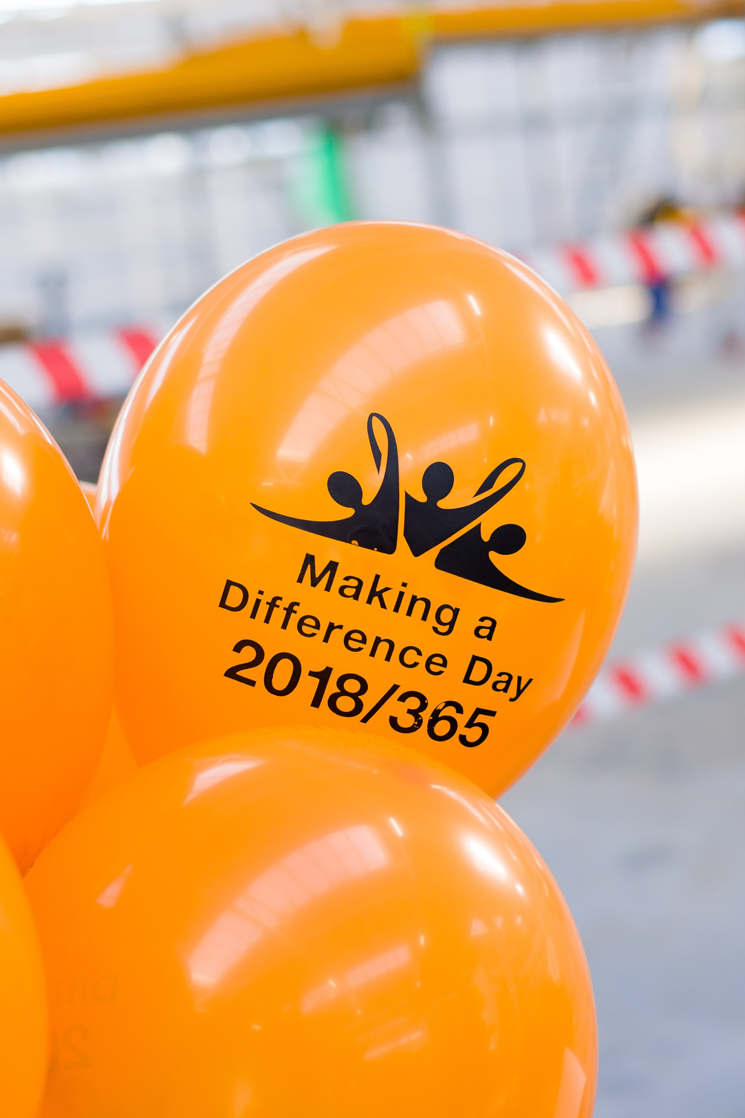 Презентация Moldi