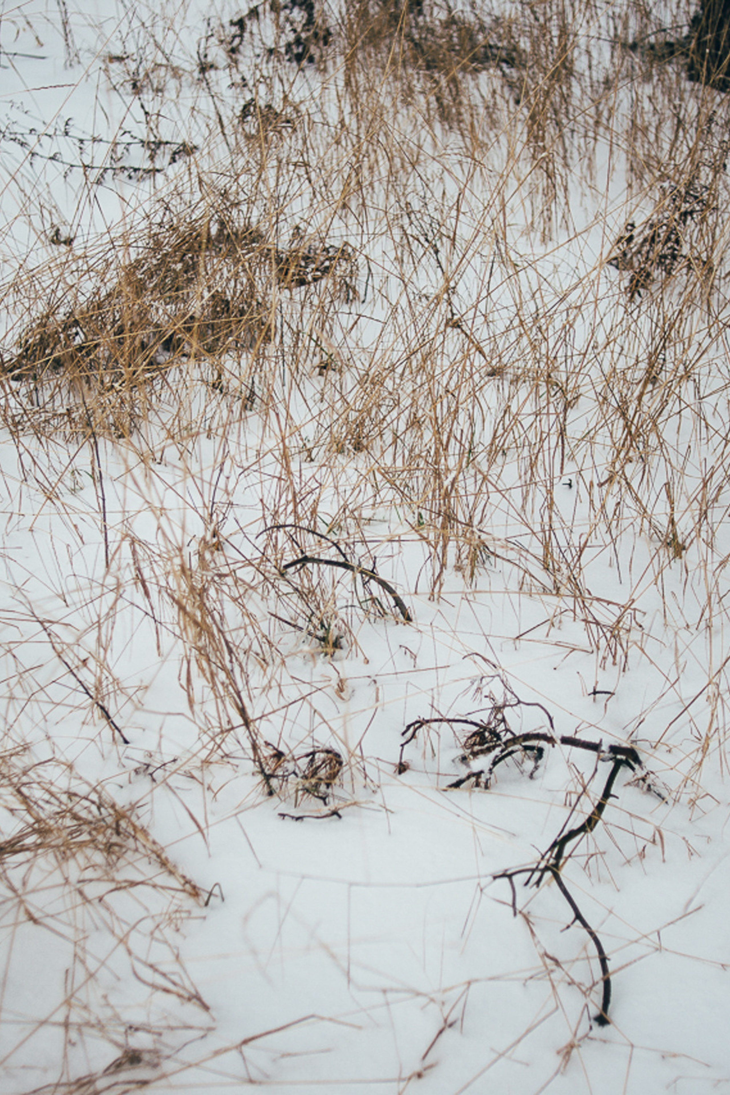 Среда. Photographer Aleksandr Churakaev