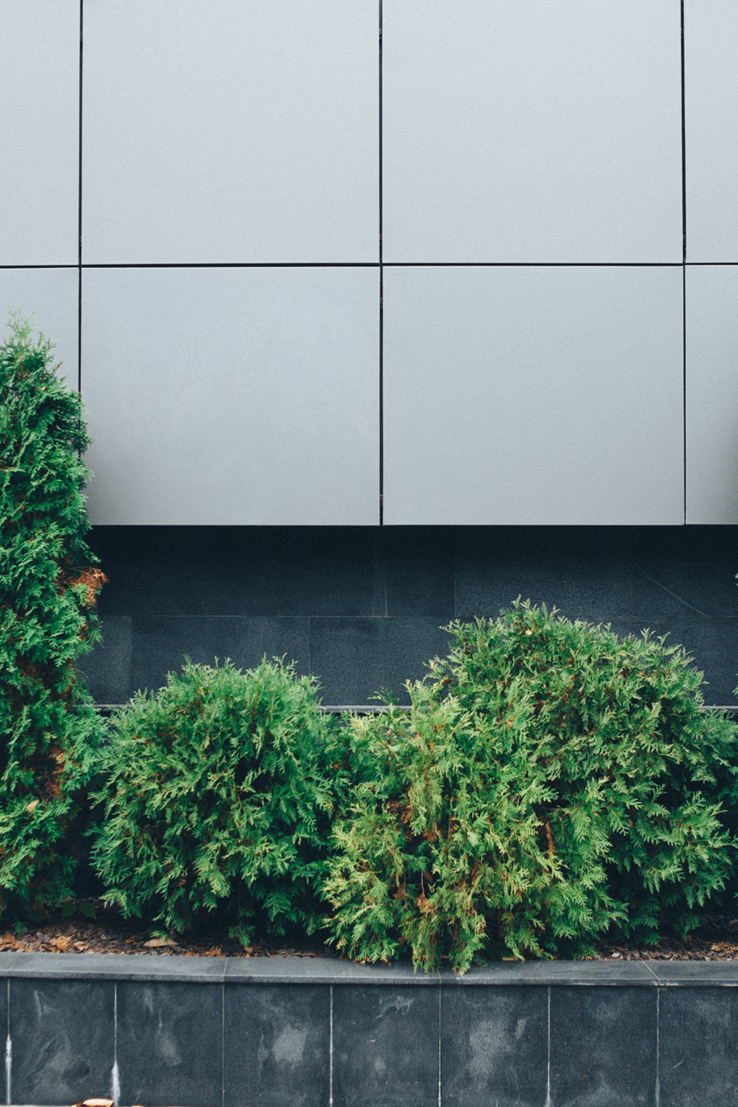 Среда. Photographer Aleksandr Churakaev