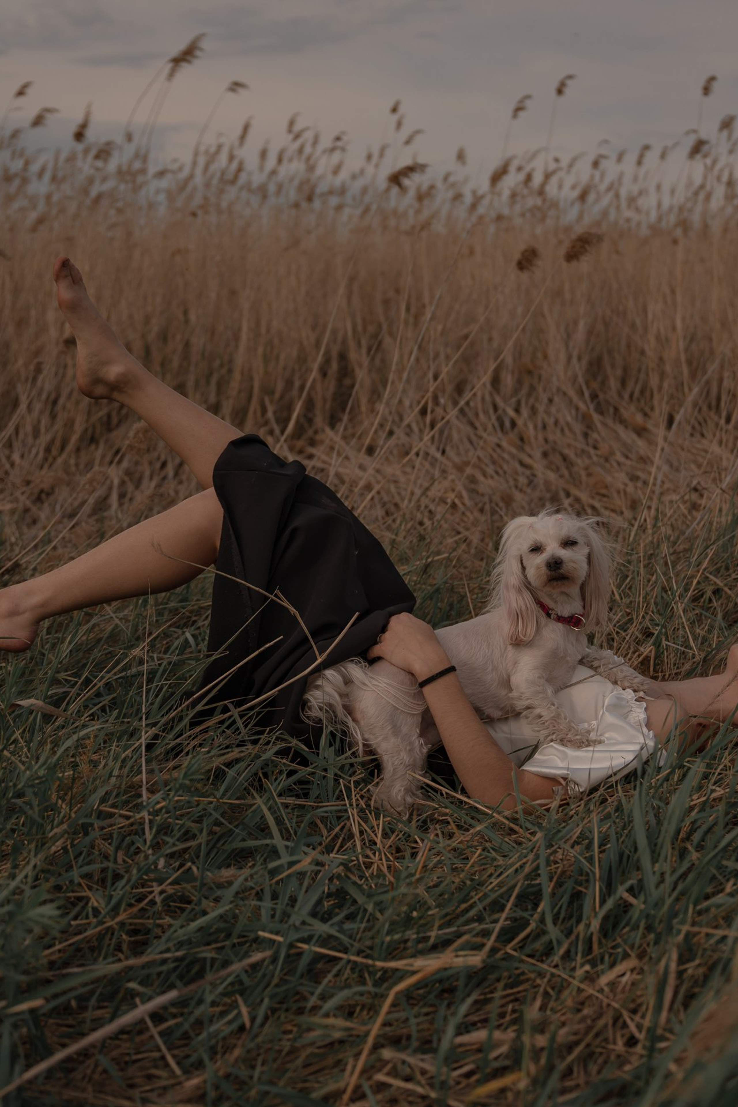 Индивидуальная фотосессия Самара. Предметный фотограф Самара