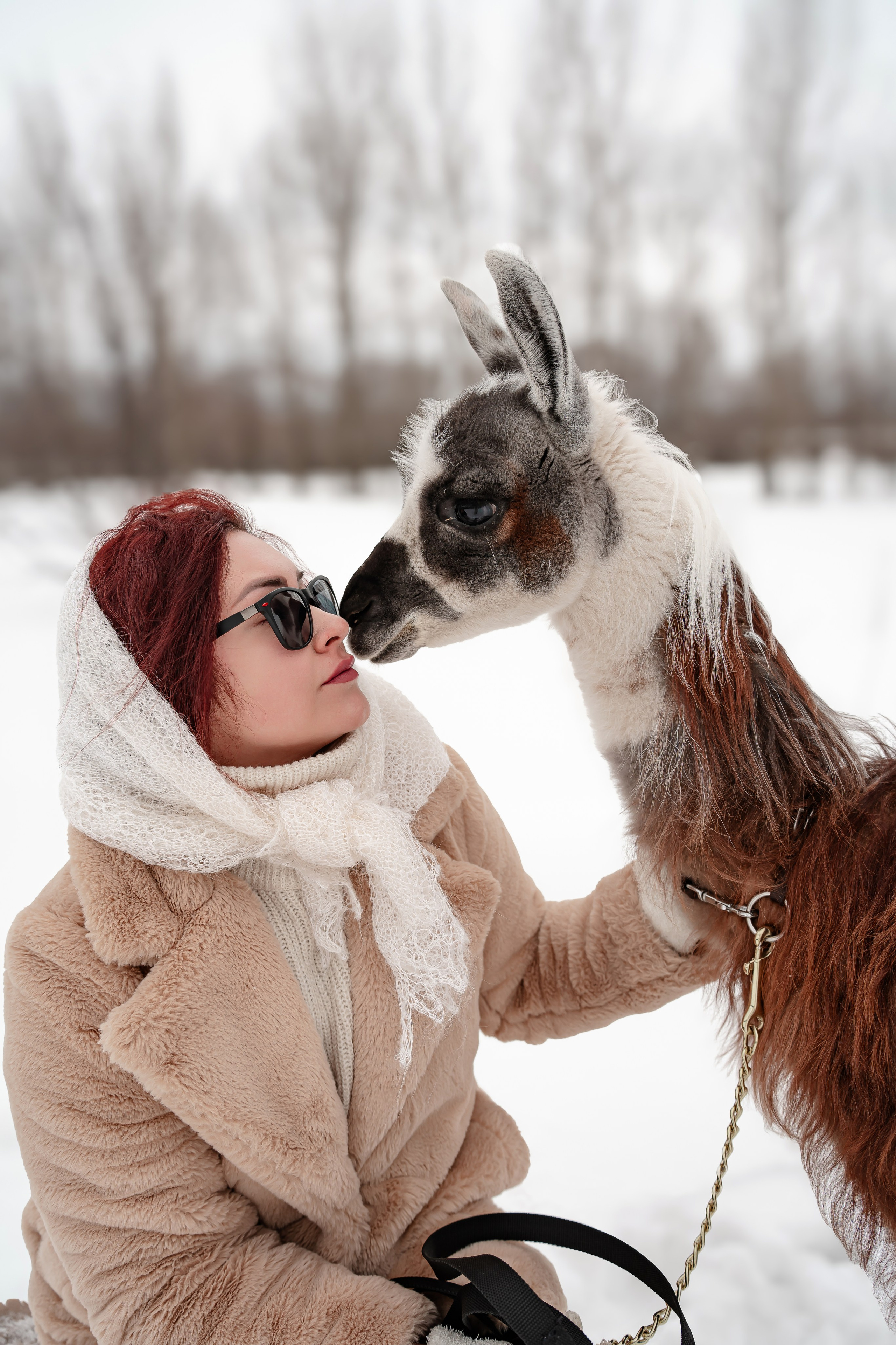Фотосессия с животными Самара. Предметный фотограф Самара