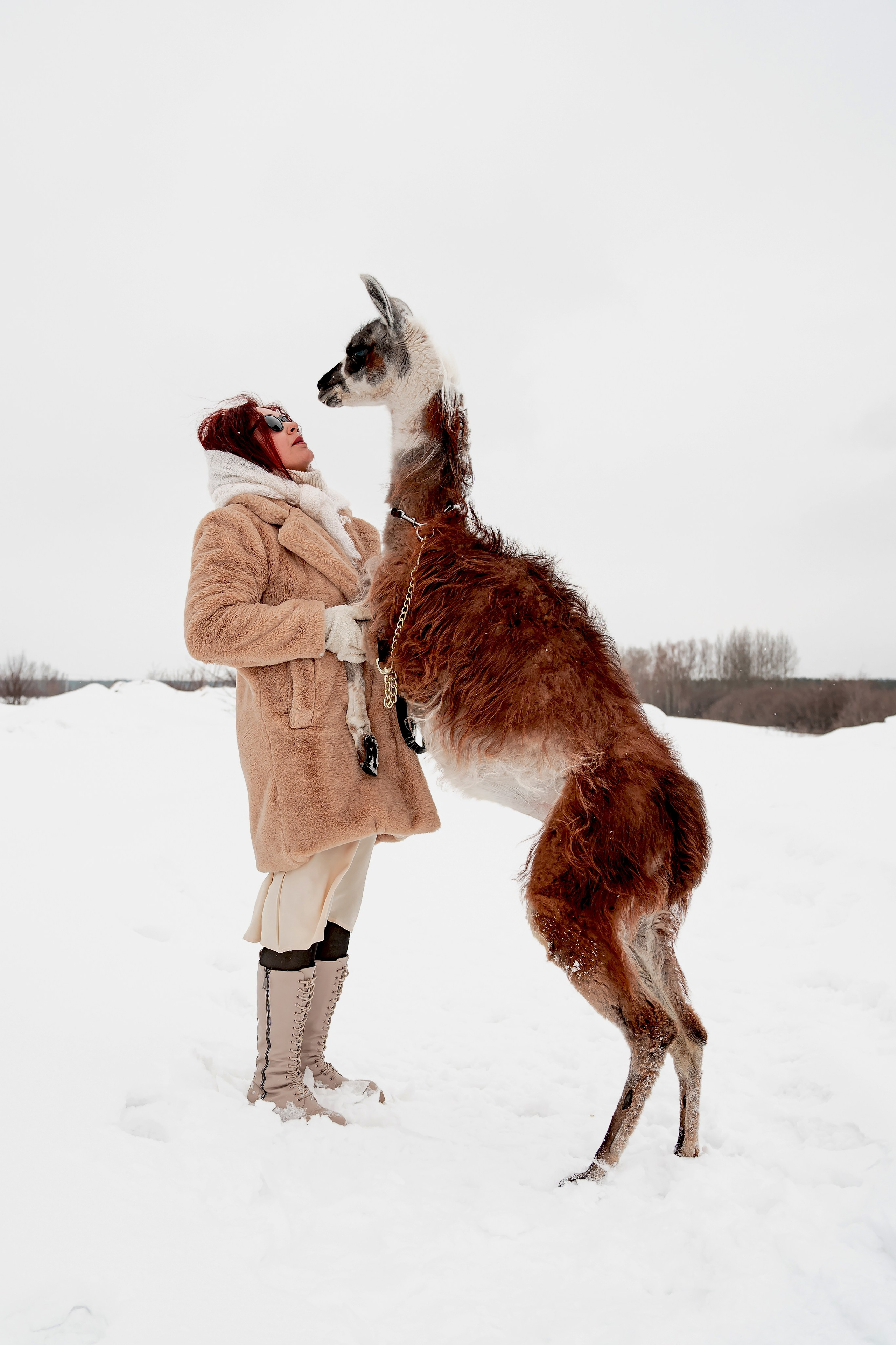 Фотосессия с животными Самара. Предметный фотограф Самара