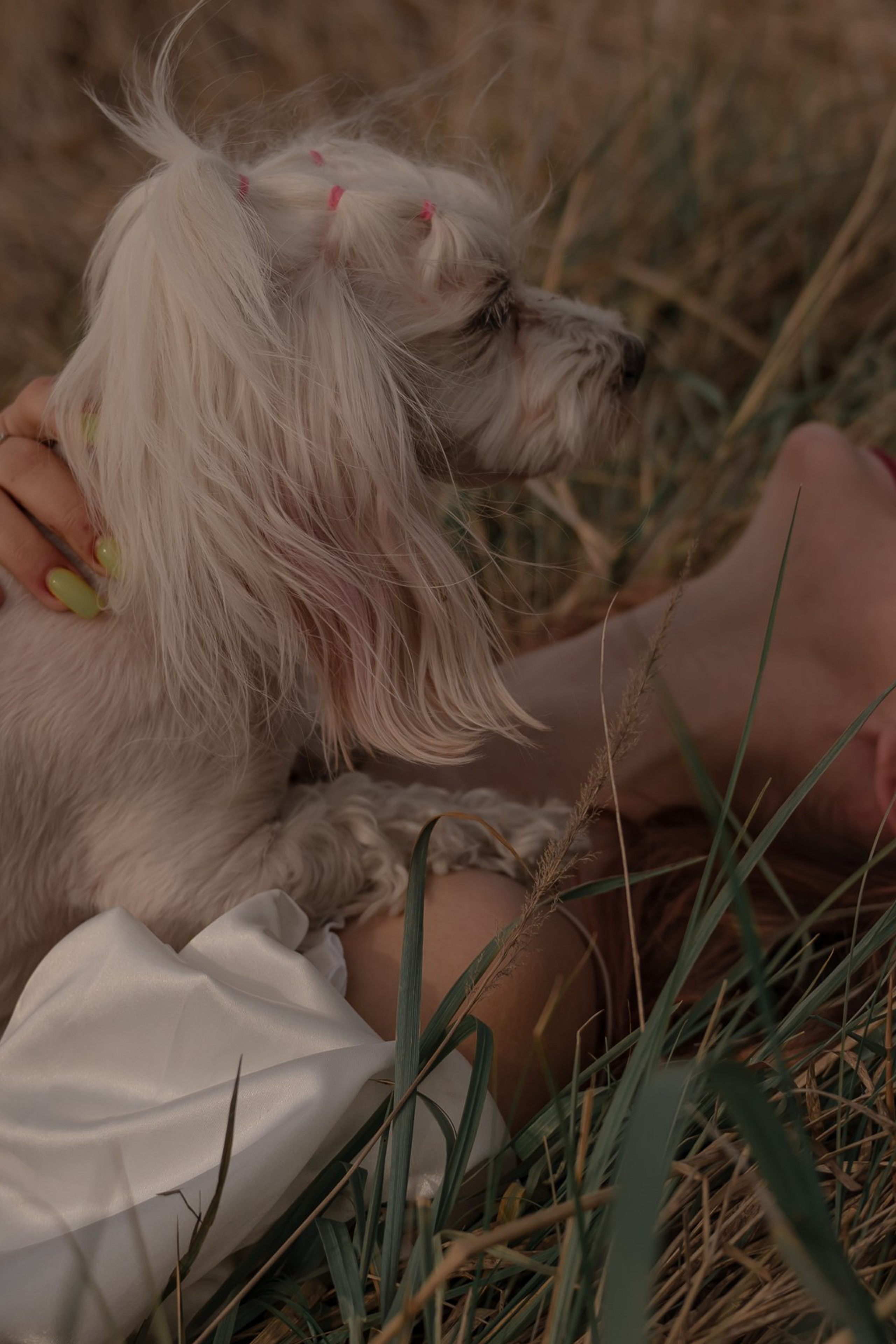 Индивидуальная фотосессия Самара. Предметный фотограф Самара