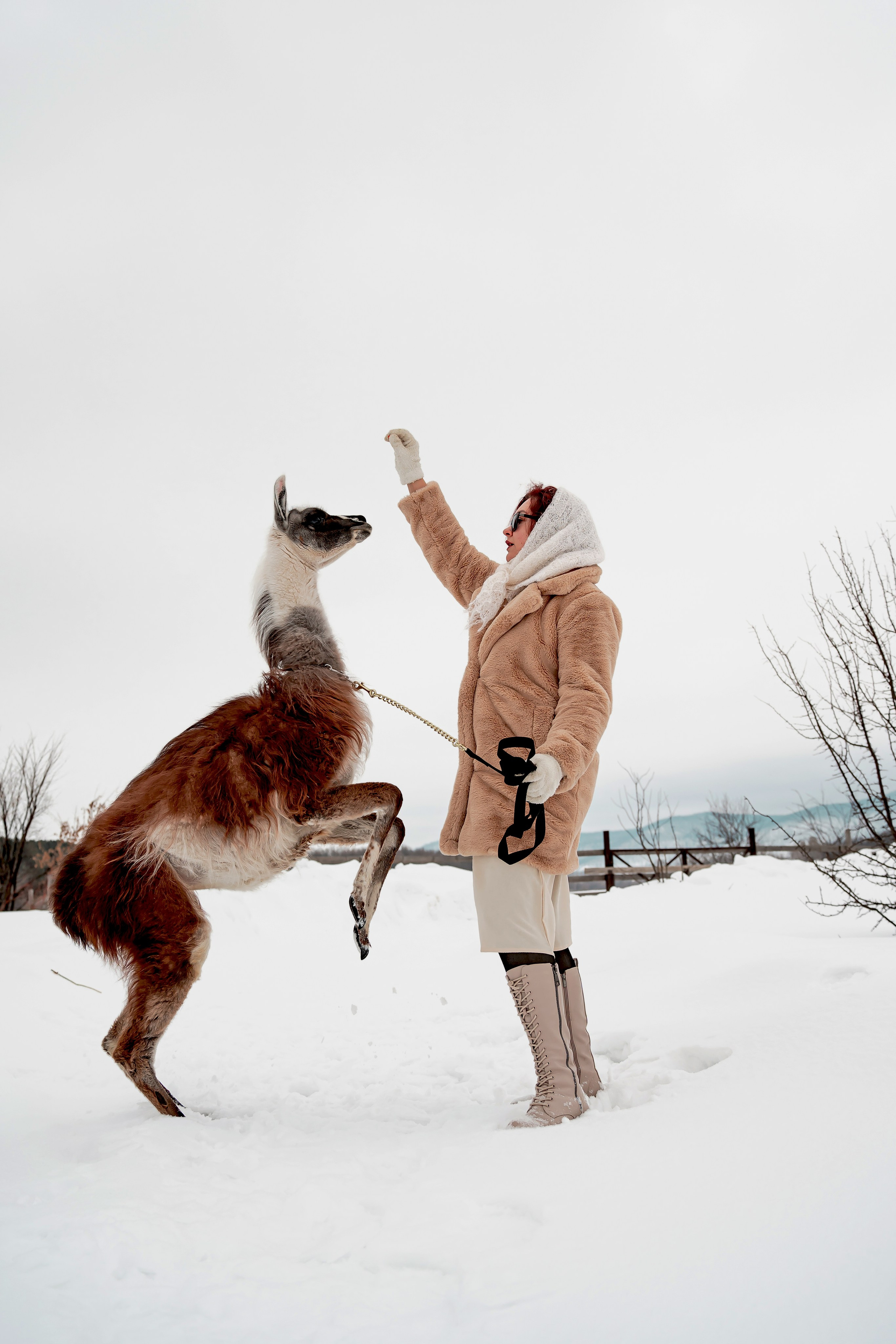 Фотосессия с животными Самара. Предметный фотограф Самара