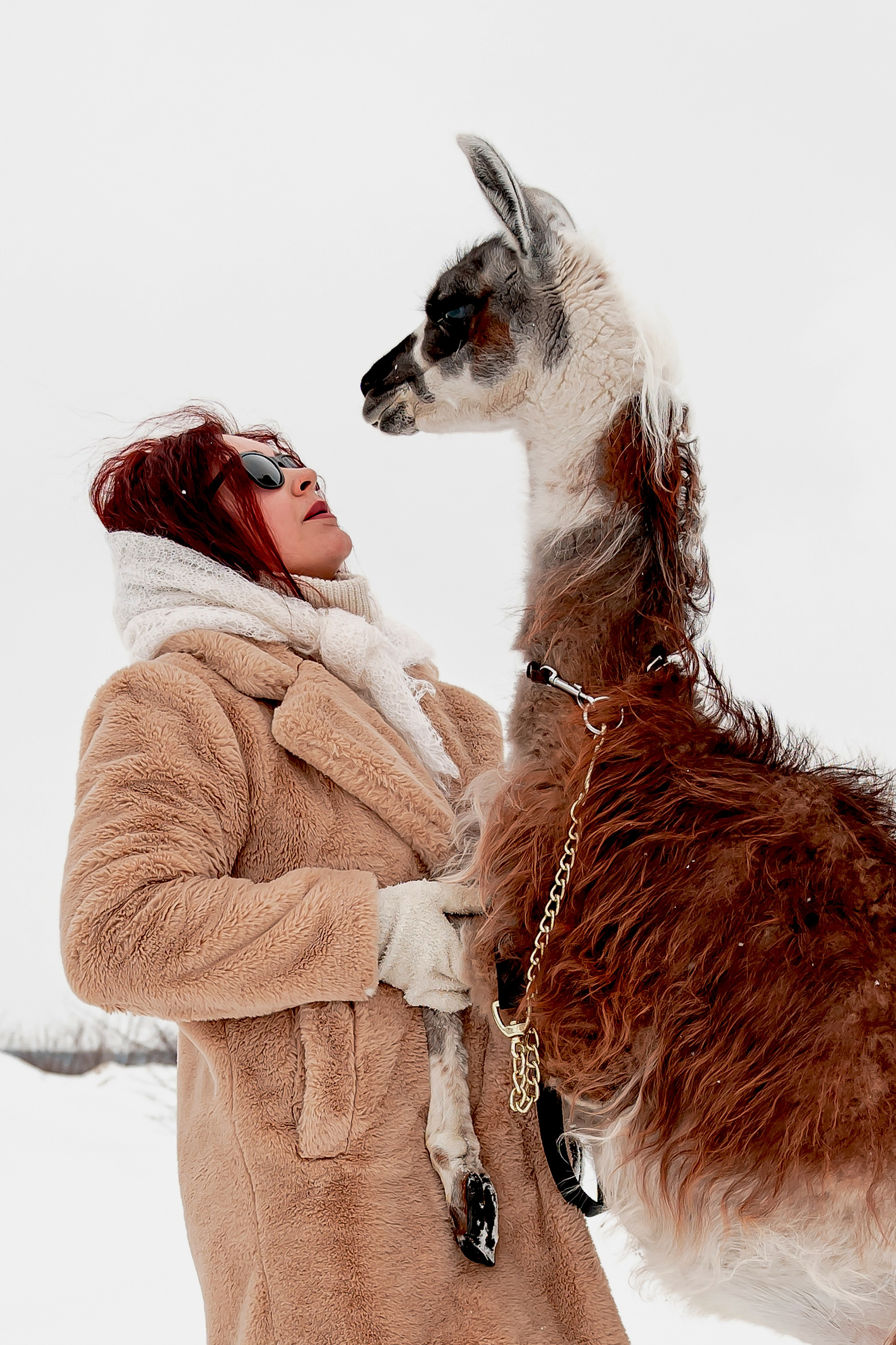 Фотосессия с животными Самара. Предметный фотограф Самара