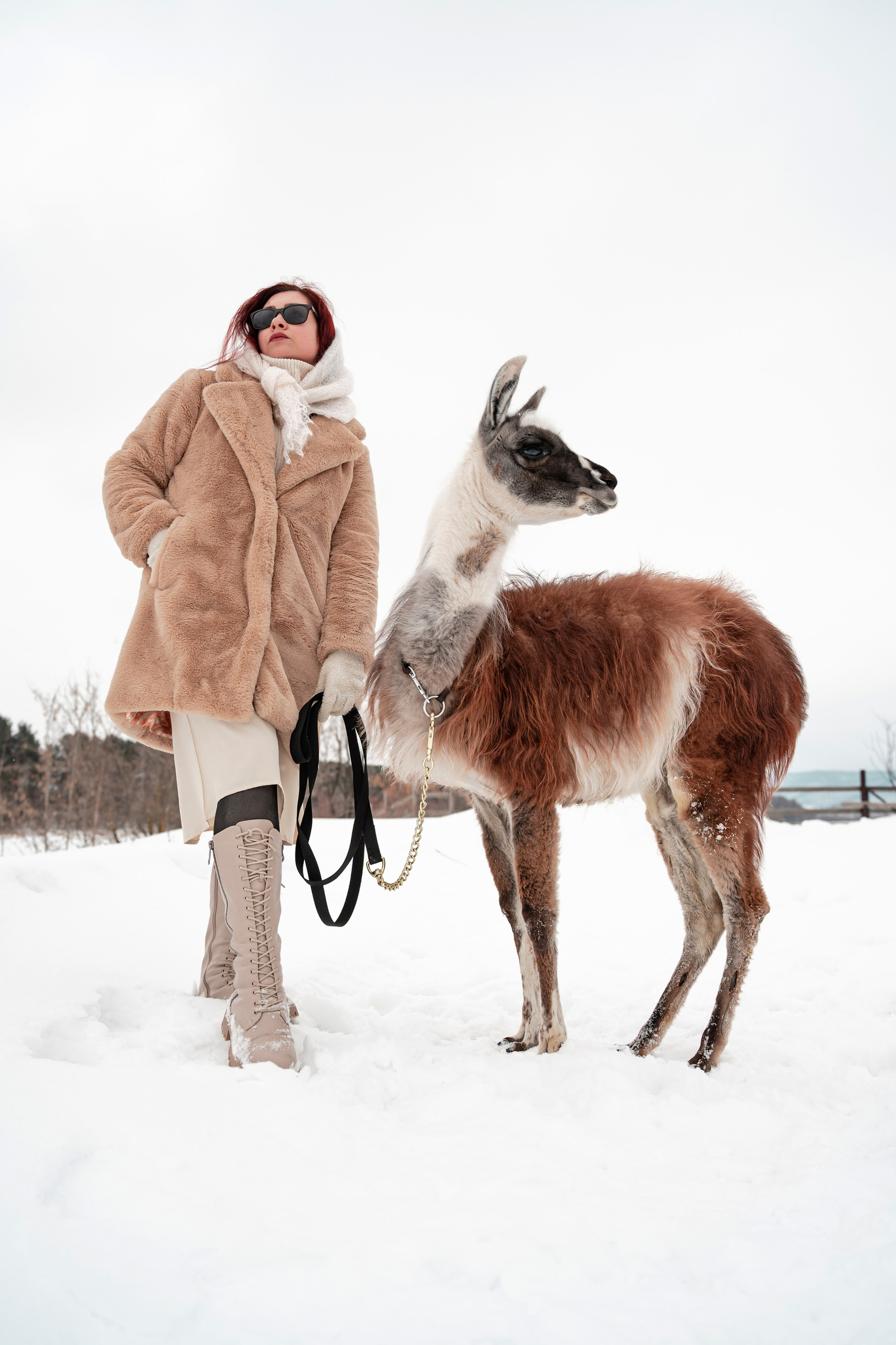 Фотосессия с животными Самара. Предметный фотограф Самара