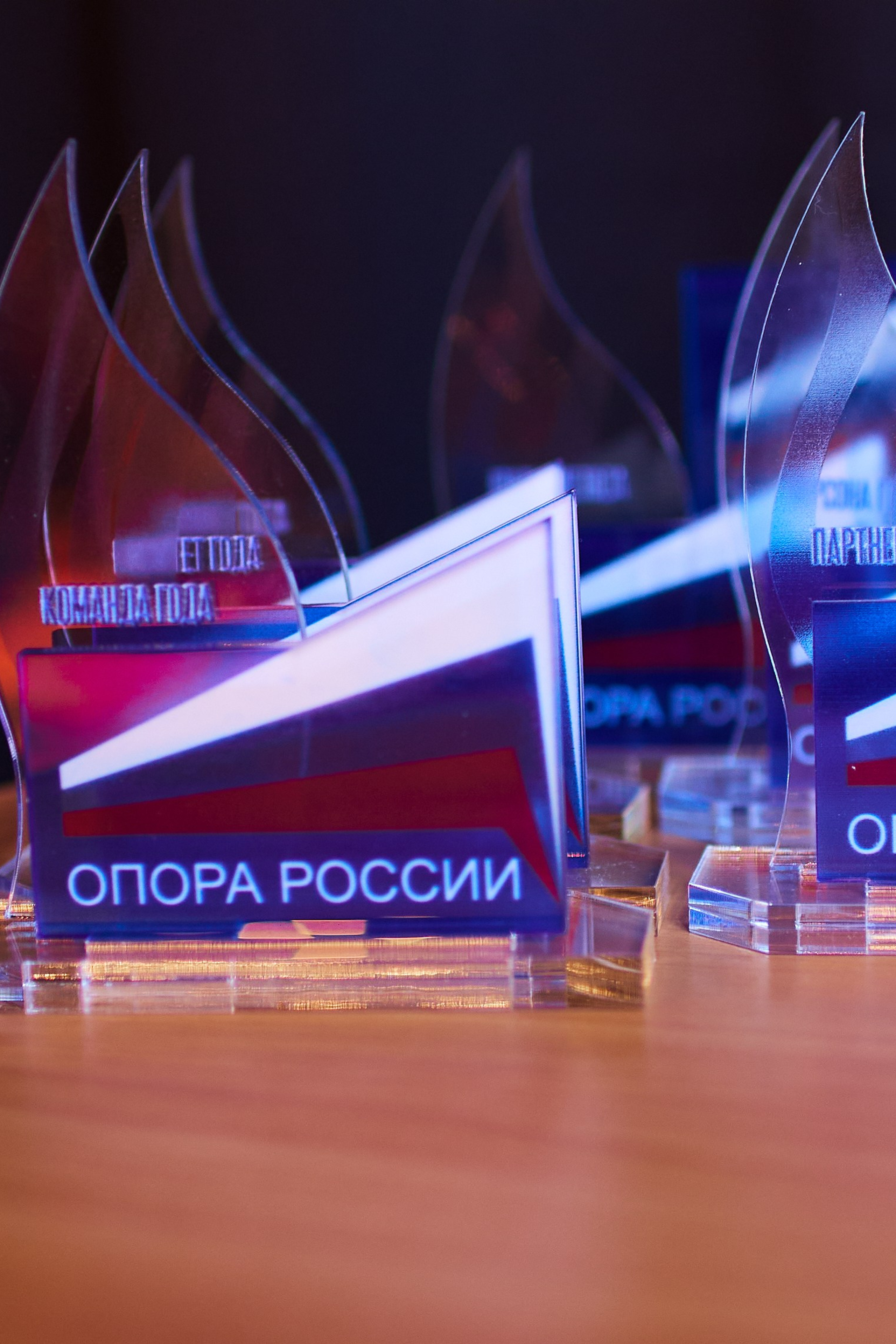 Опора России&nbsp;— Новый год