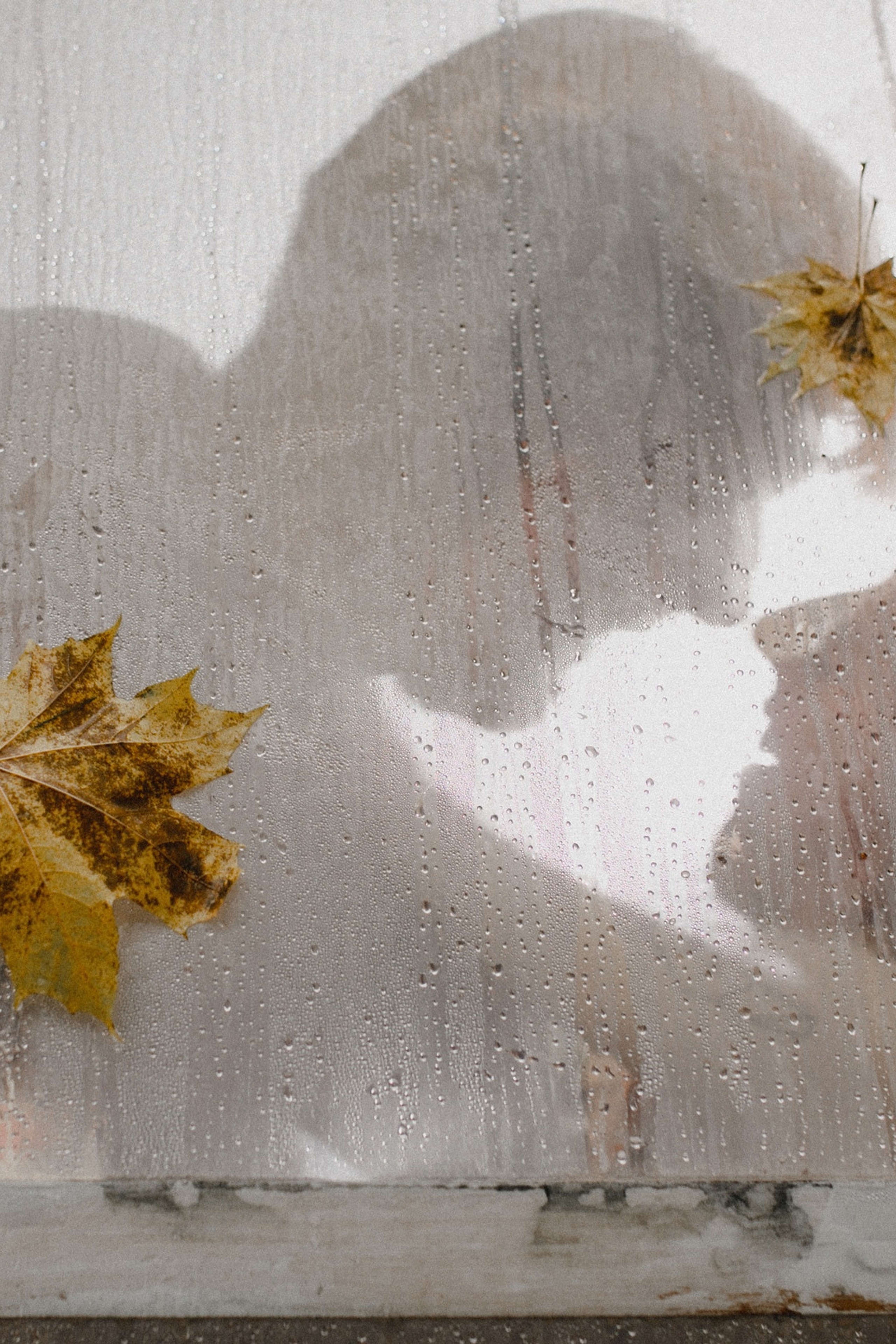 Алекс и Анастасия