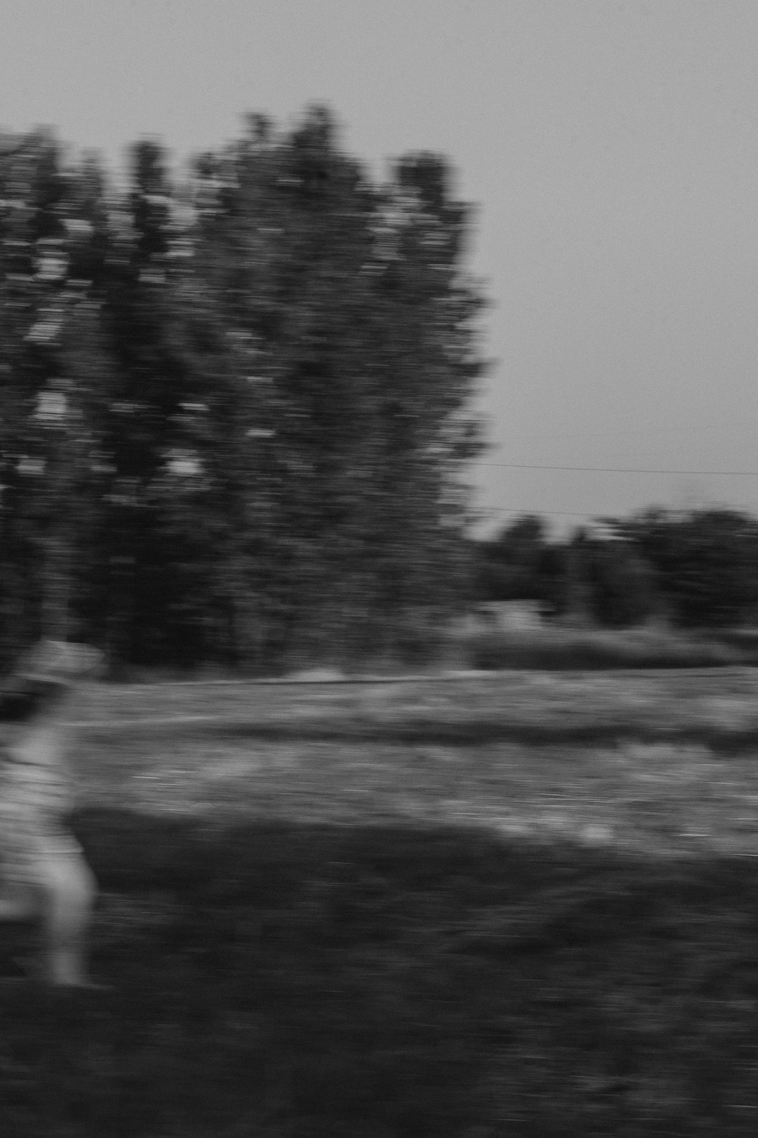 Короткие истории моих героев. Свадебный и Семейный фотограф в городе Тимашевск и Краснодар