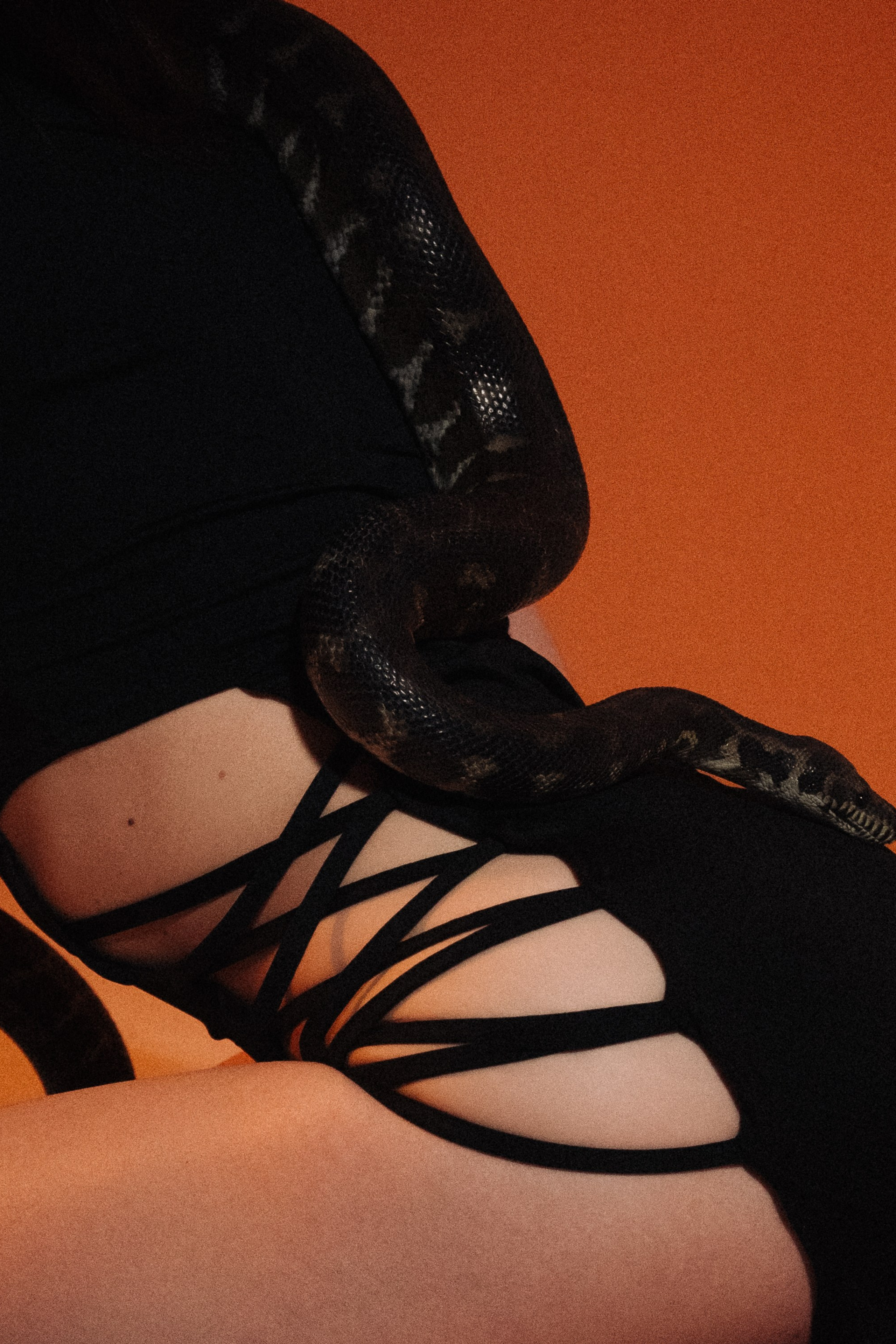 Портфолио. Фотограф из Сибири