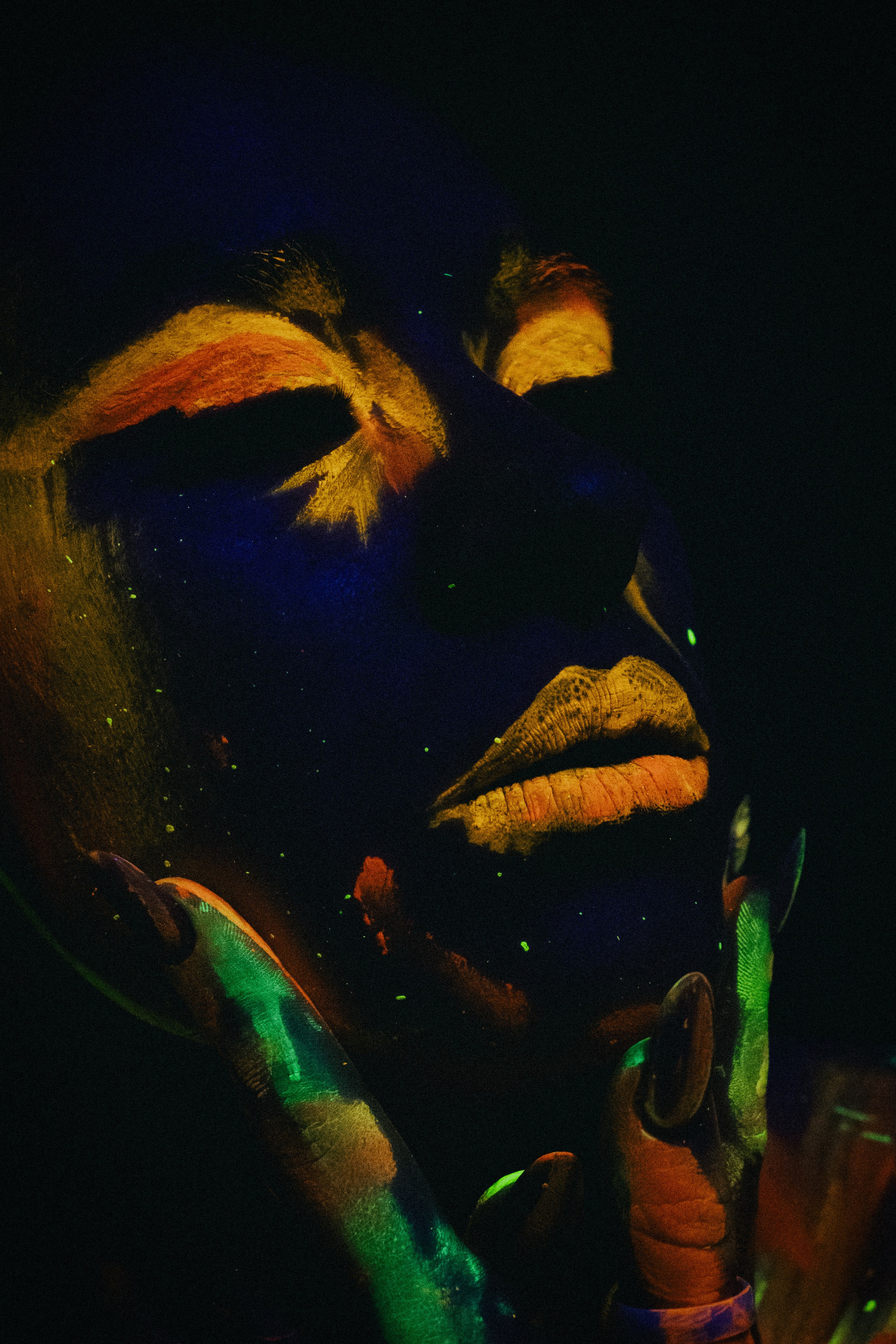 Портфолио. Фотограф из Сибири