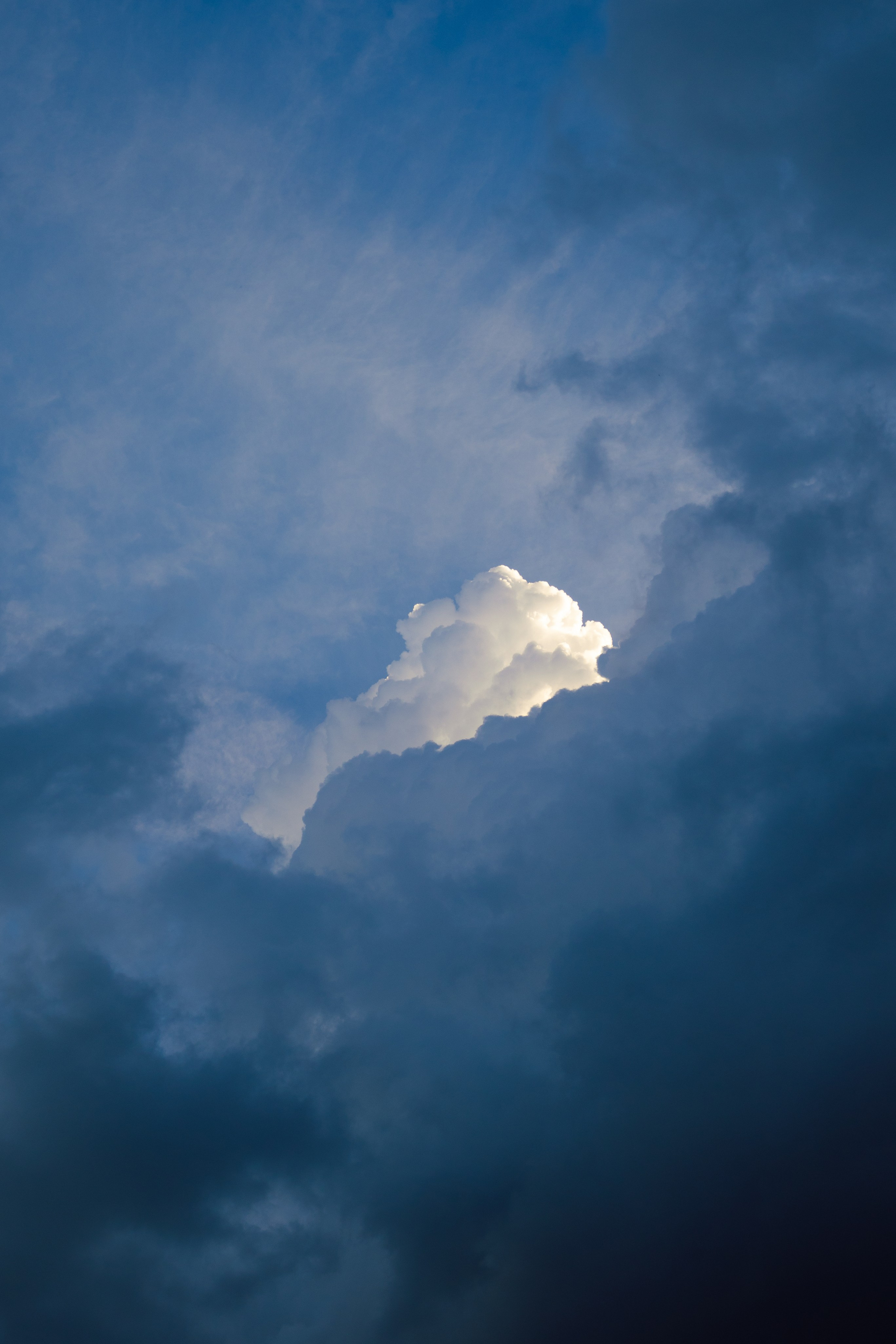 Портфолио. Фотограф из Сибири