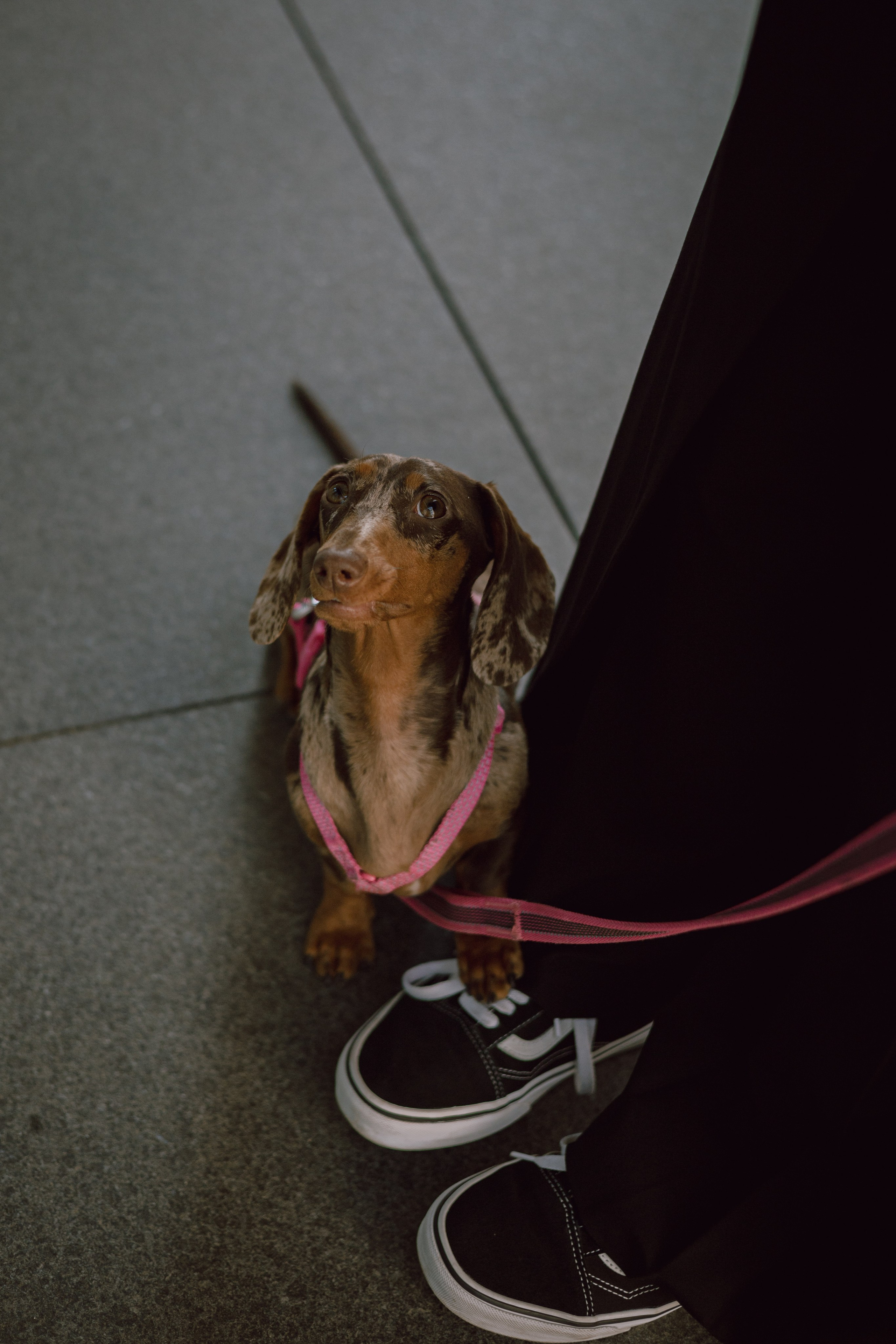 Каринэ и Келли