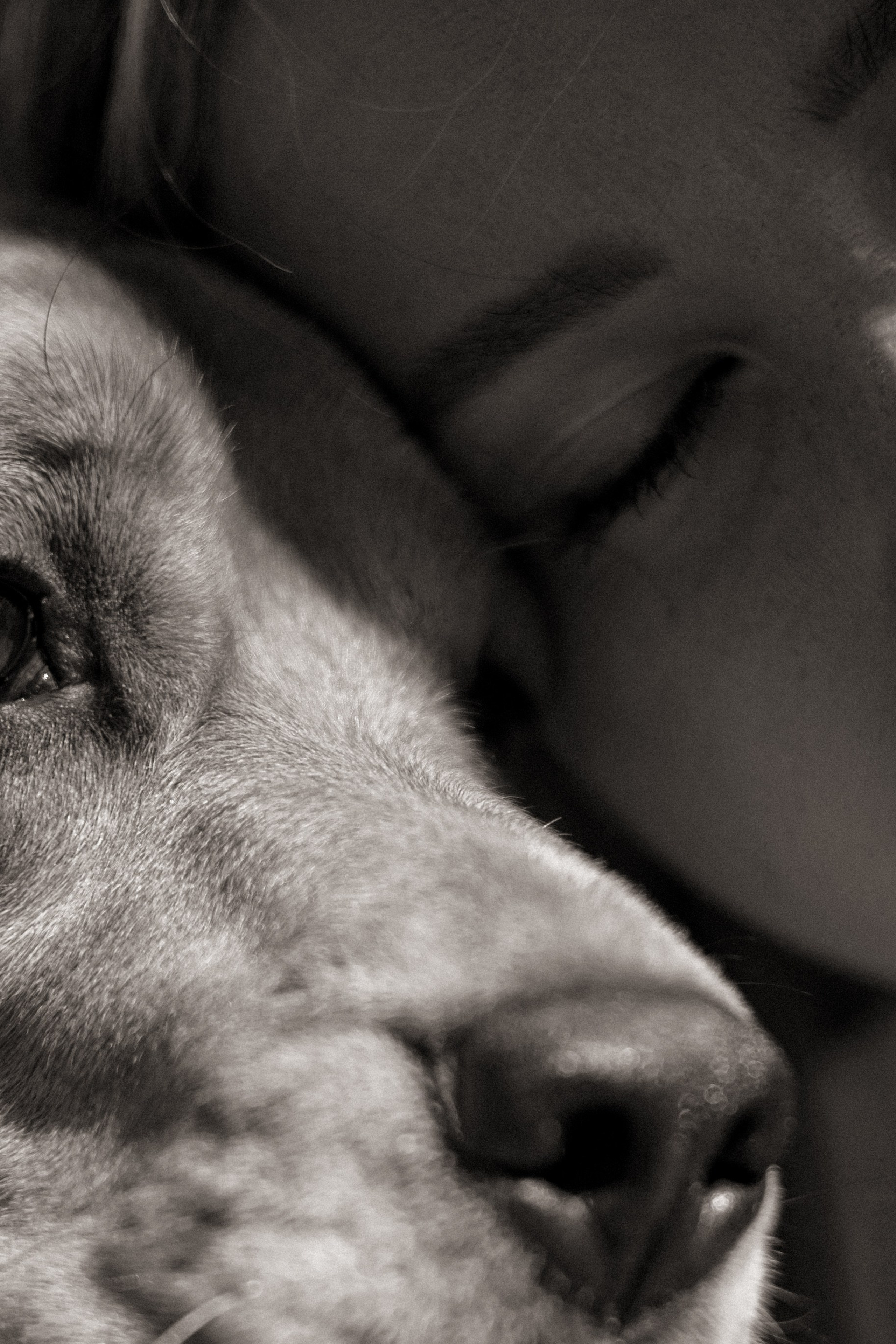 Оуджи и Катя