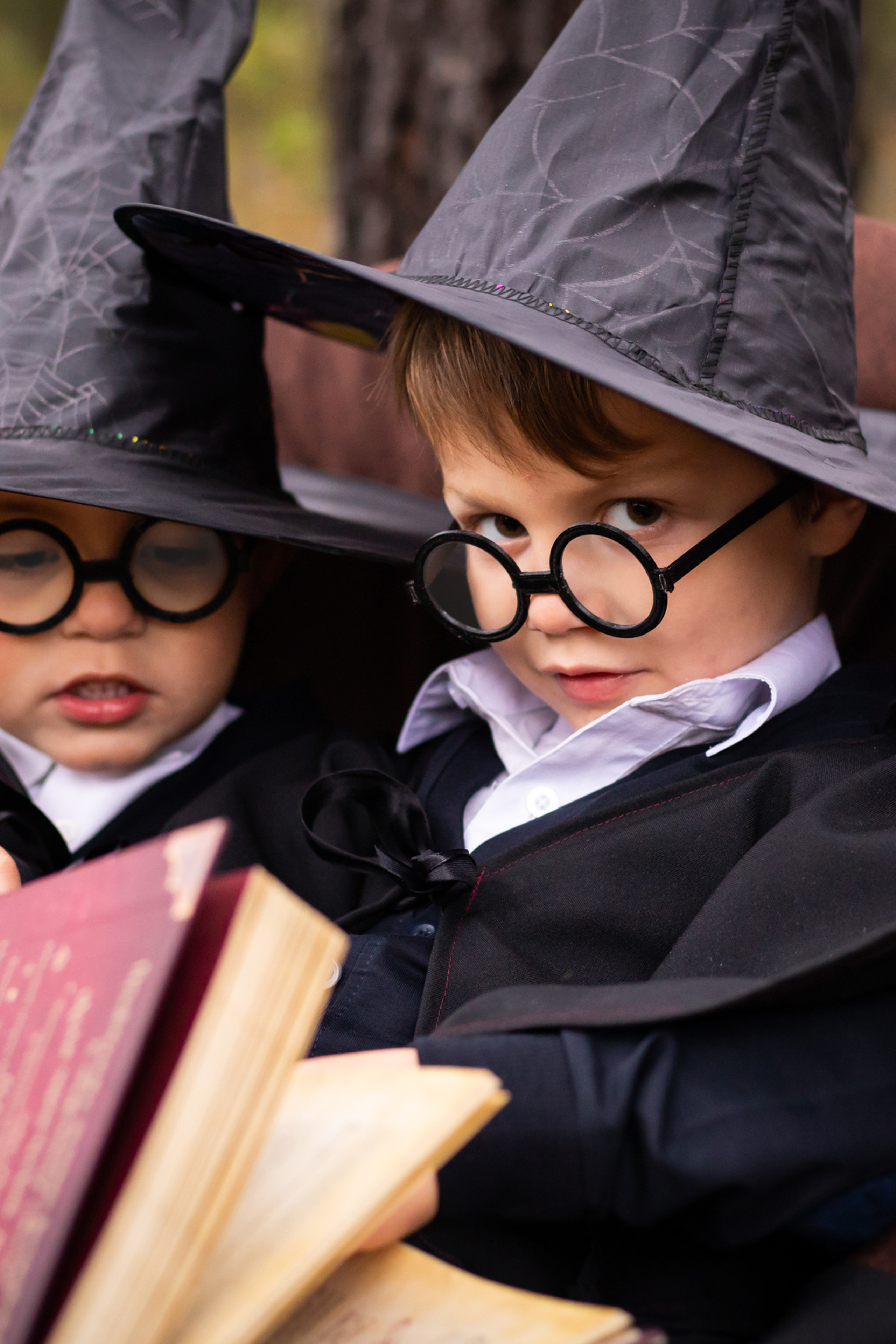 Семья «Поттеров» (Романовы)