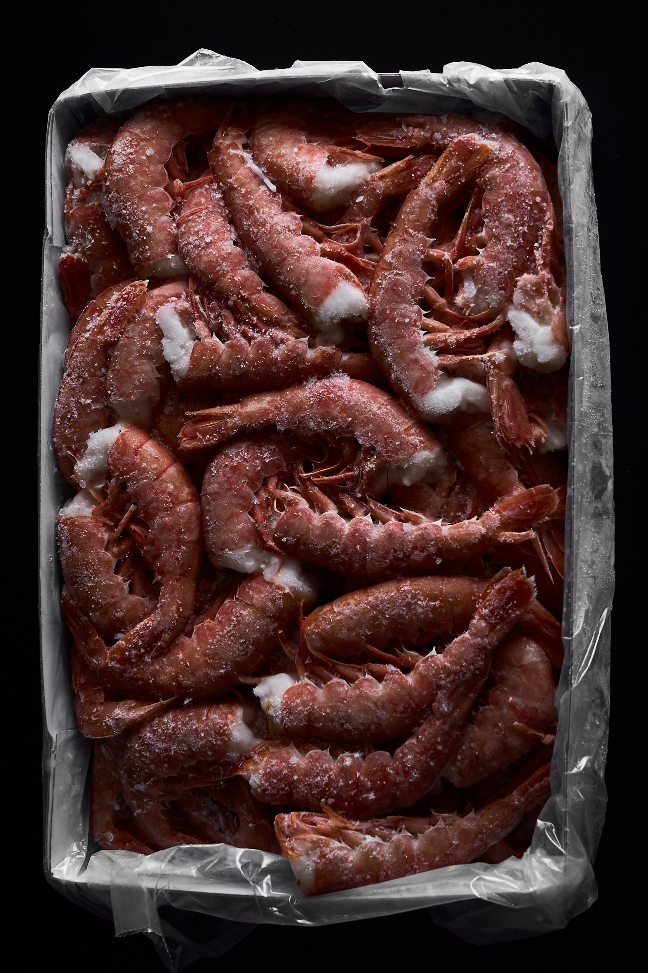 Русская Рыбная Компания (РРК) — каталог продукции. Фотограф для брендов, моделей и частных клиентов в Москве