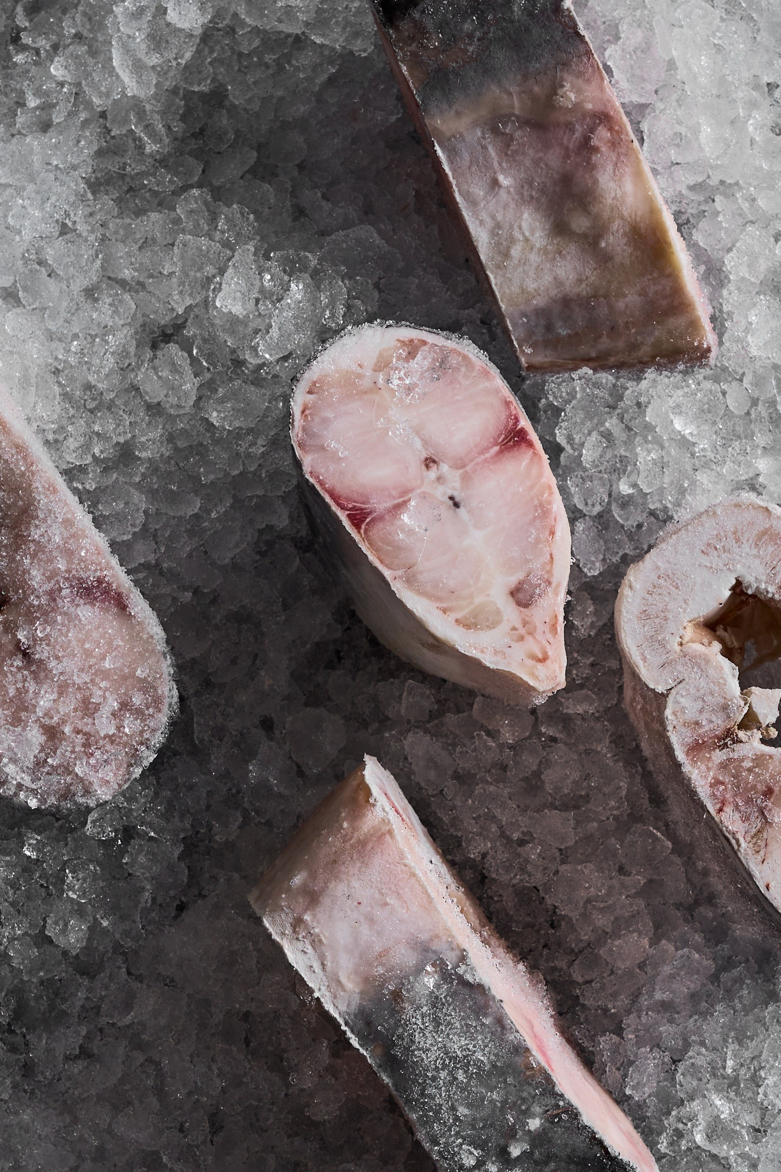 Русская Рыбная Компания (РРК) — каталог продукции. Фотограф для брендов, моделей и частных клиентов в Москве