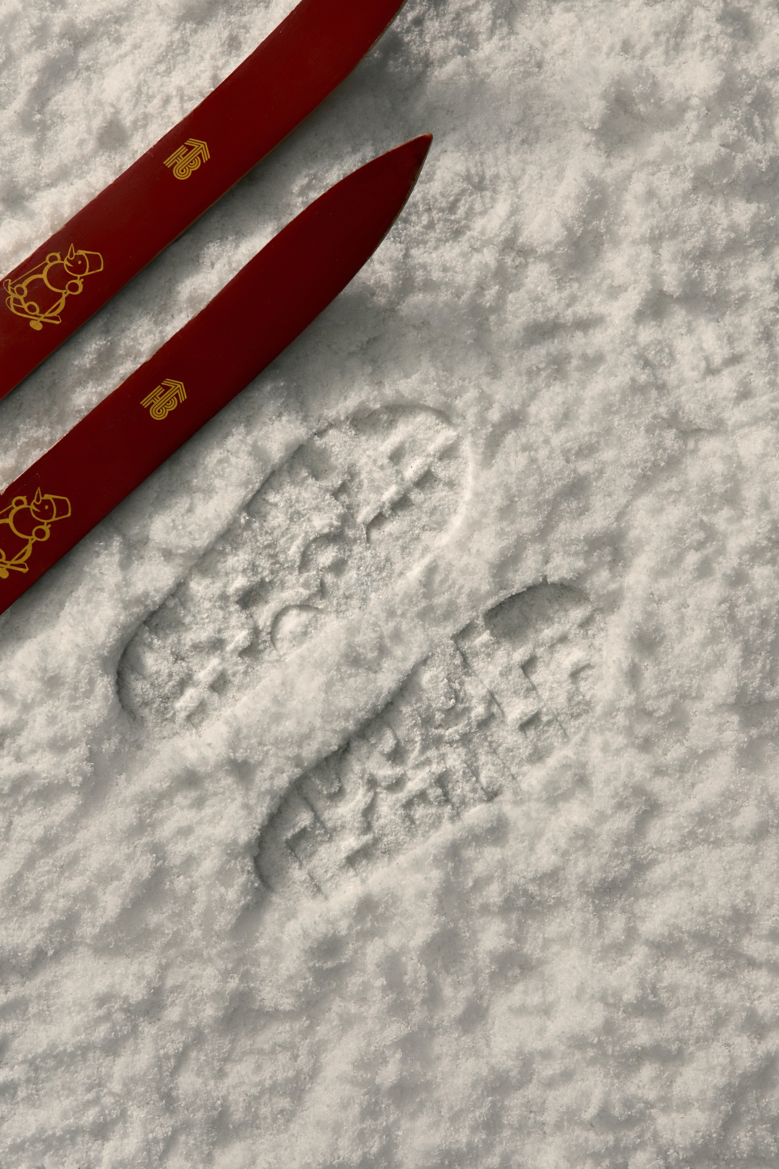 Hogl — campaign by agreed.prod. Фотограф для брендов, моделей и частных клиентов в Москве