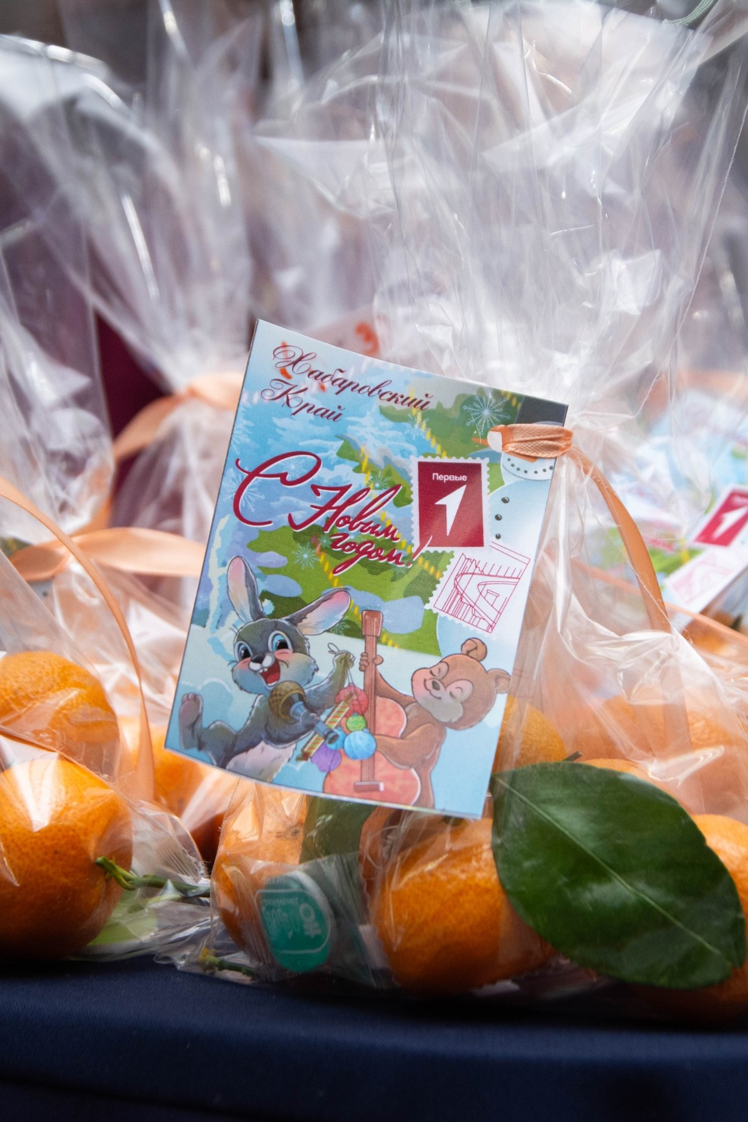 Ёлка молодёжи 2025